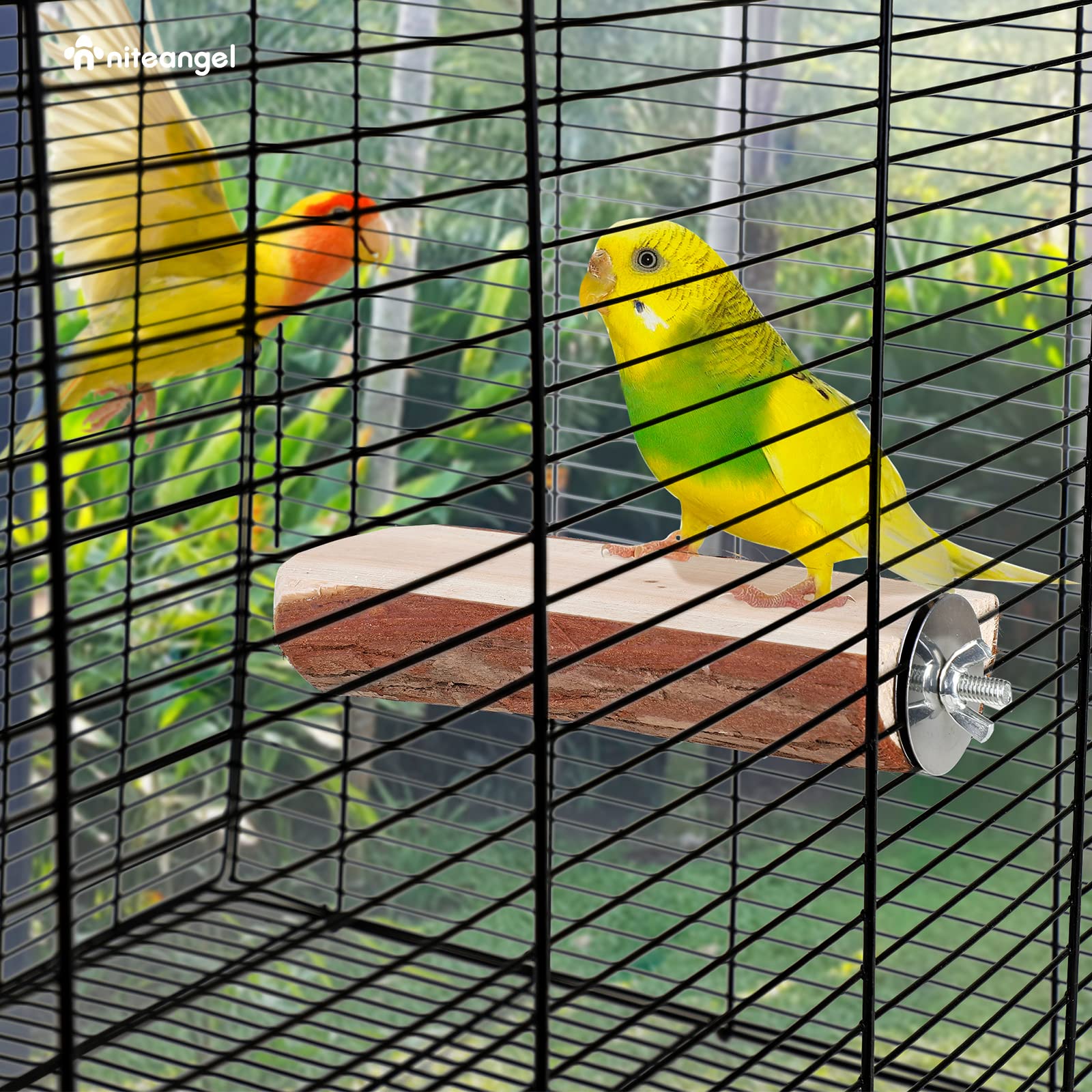 Niteangel Parrot Cage Perch, Wooden Platform For Birds (1 Pack)