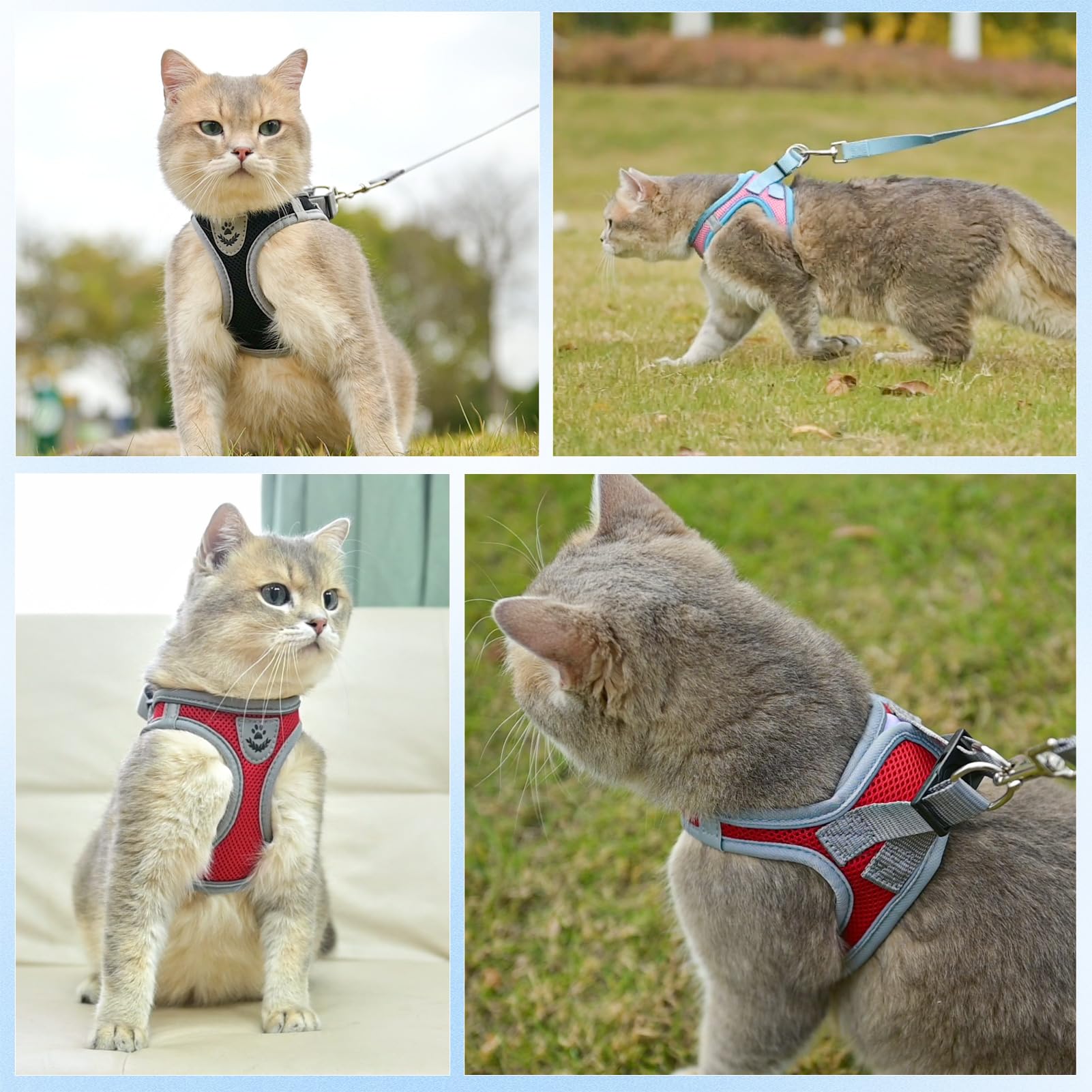 Scenereal Cat Harness And Leash Set Escape Proof, Adjustable Soft Air Mesh Kitten Harnesses For Girls Boys Small Medium Big Cats