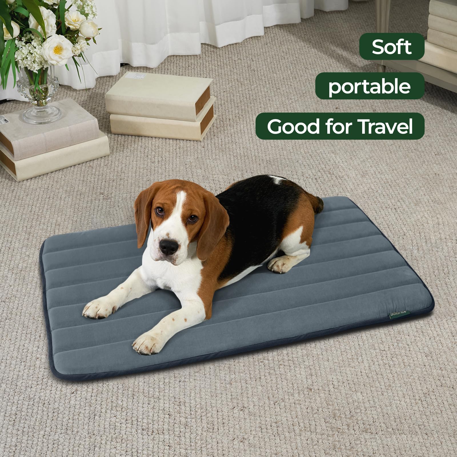 BALANCE Dog Crate Pad, Dog Foam Crate Mat Kennel Pad, Washable Water-Resistant Pet Bed Flat Dogs Cage Mat for Large Dogs, 2 Pack