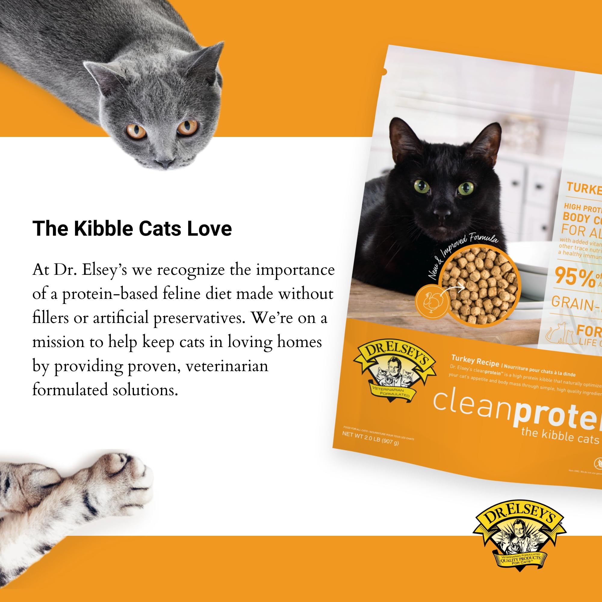 Dr. Elseys Clean Protein Turkey Dry Cat Food - Cat Kibble Dry Food for All Cats - Protein-Rich Healthy Cat Food w/Natural Ingre