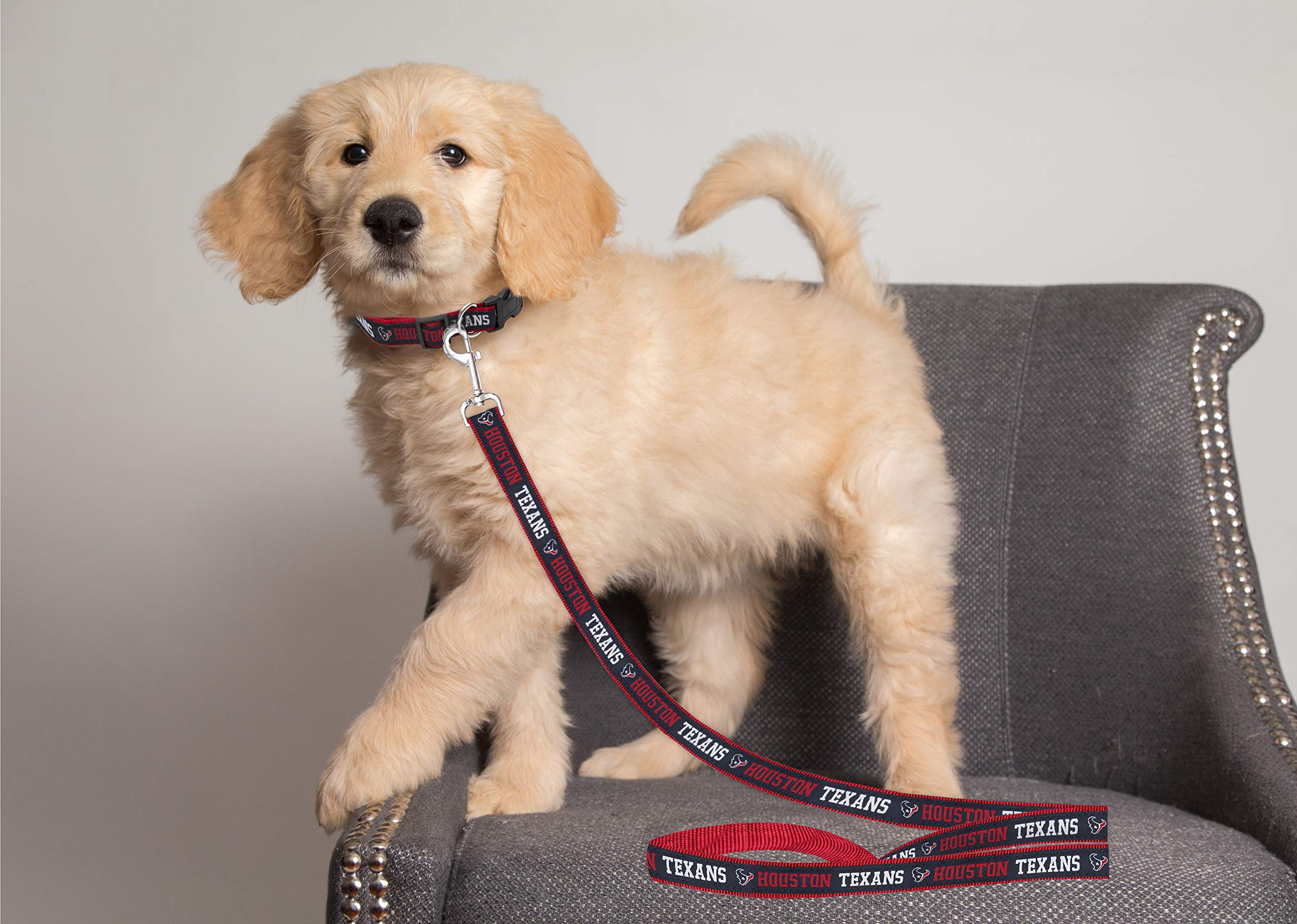 Pets First Houston Texans Leash