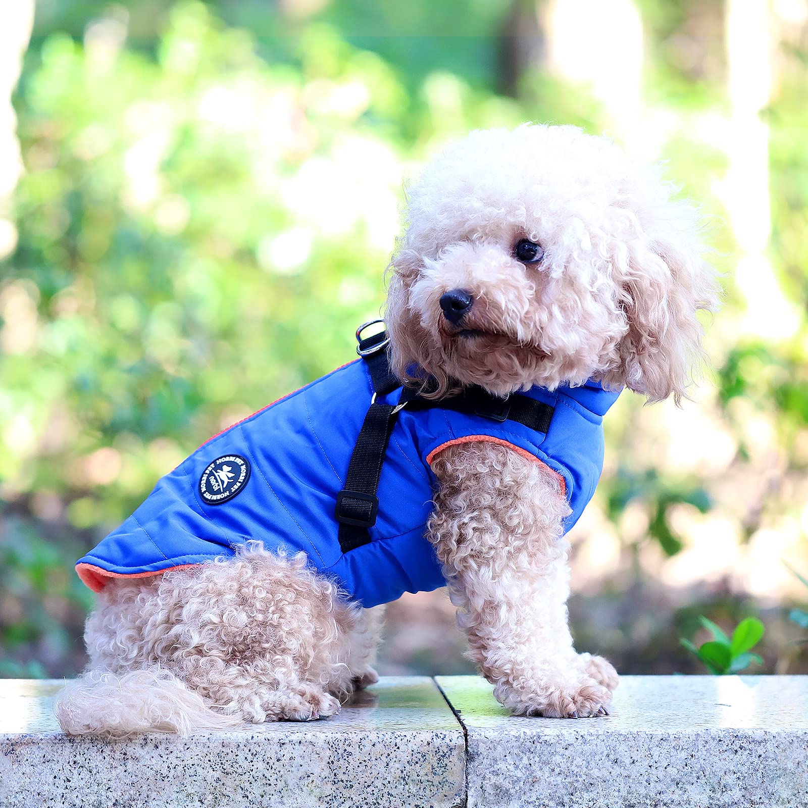 Norbi Pet Warm Jacket for Small Dogs - Medium Blue Cotton Vest Harness, 2-in-1 Winter Coat