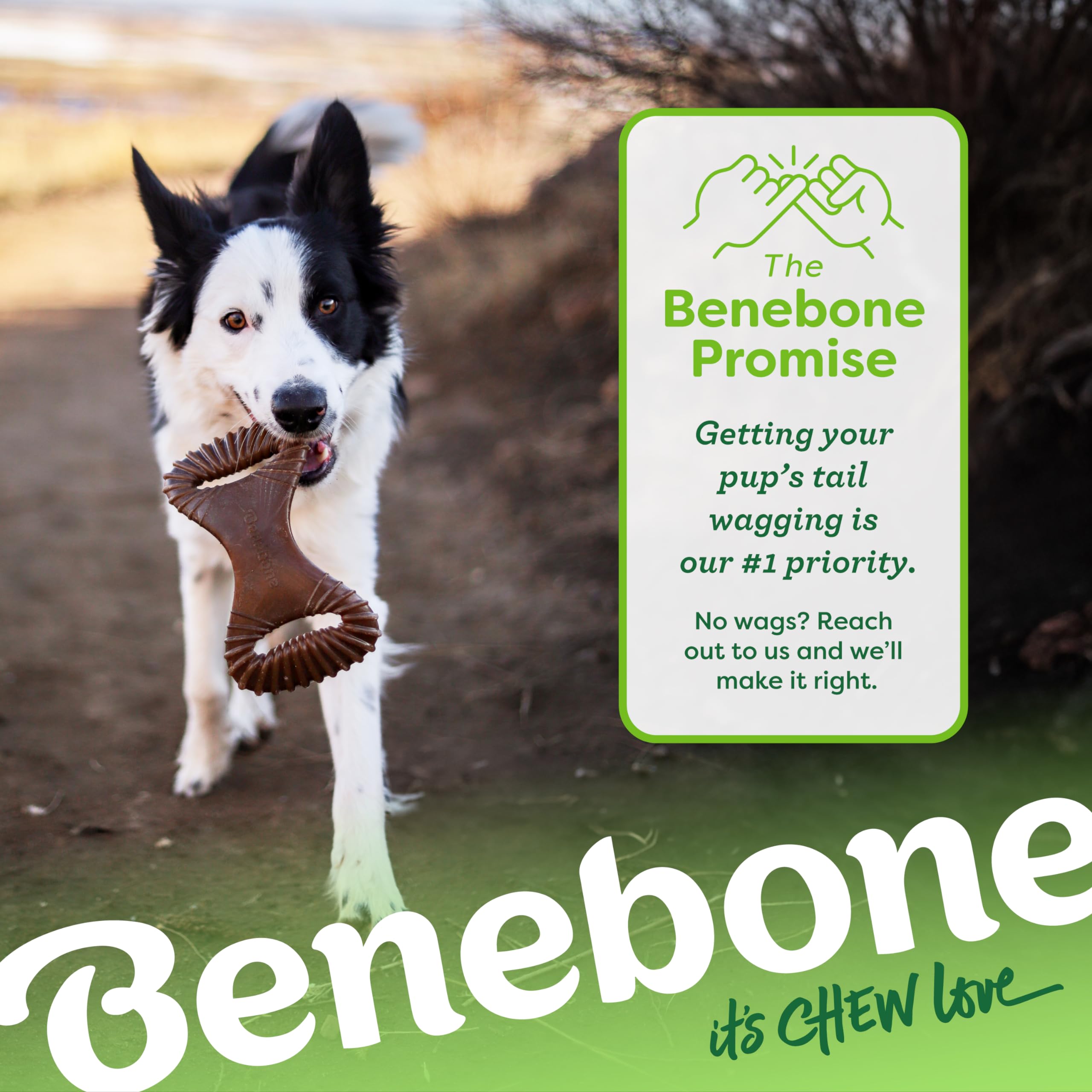 Benebone Dental Durable Dog Chew Toy For Aggressive Chewers, Real Bacon, Made In Usa, Large