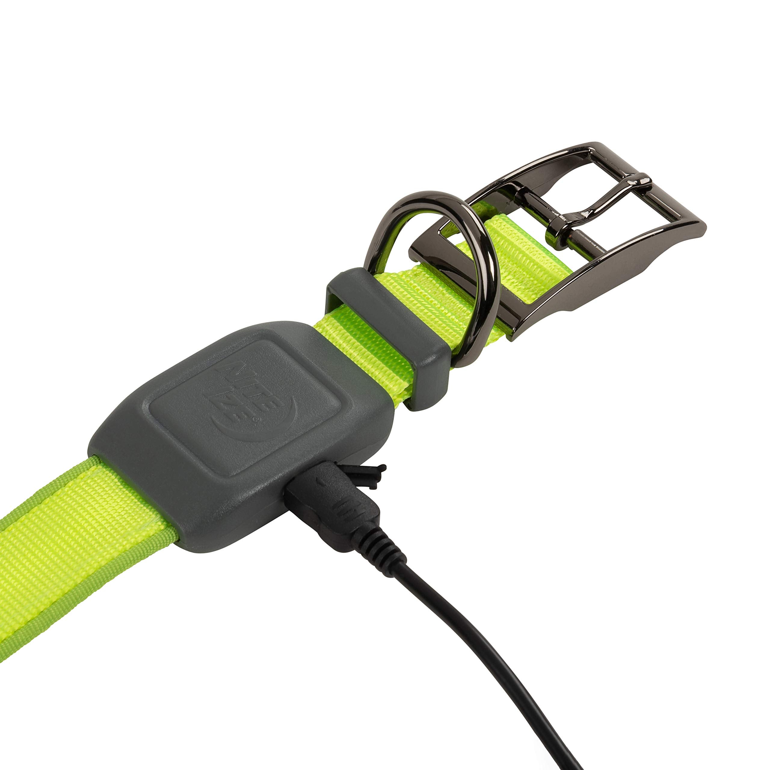 Nite Ize Nitedog Rechargeable Led Collar, Usb Rechargeable Light Up Dog Collar W/Metal Buckle, Water Resistant, Lime