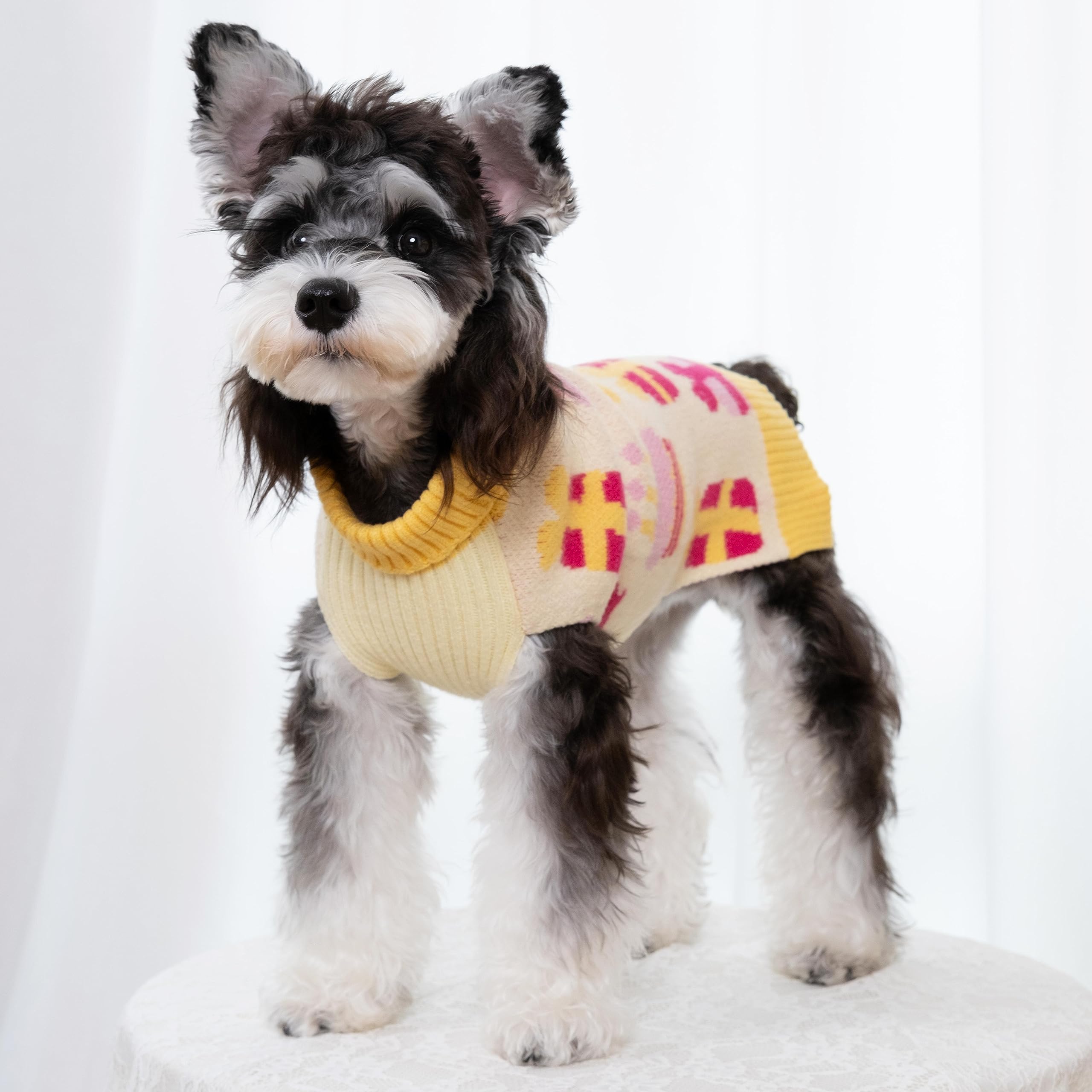 Cutebone Birthday Dog Sweater For Small Medium Dogs Gift Knit Yellow Turtleneck Pet Winter Clothes Cat Apparel With Harness Hole