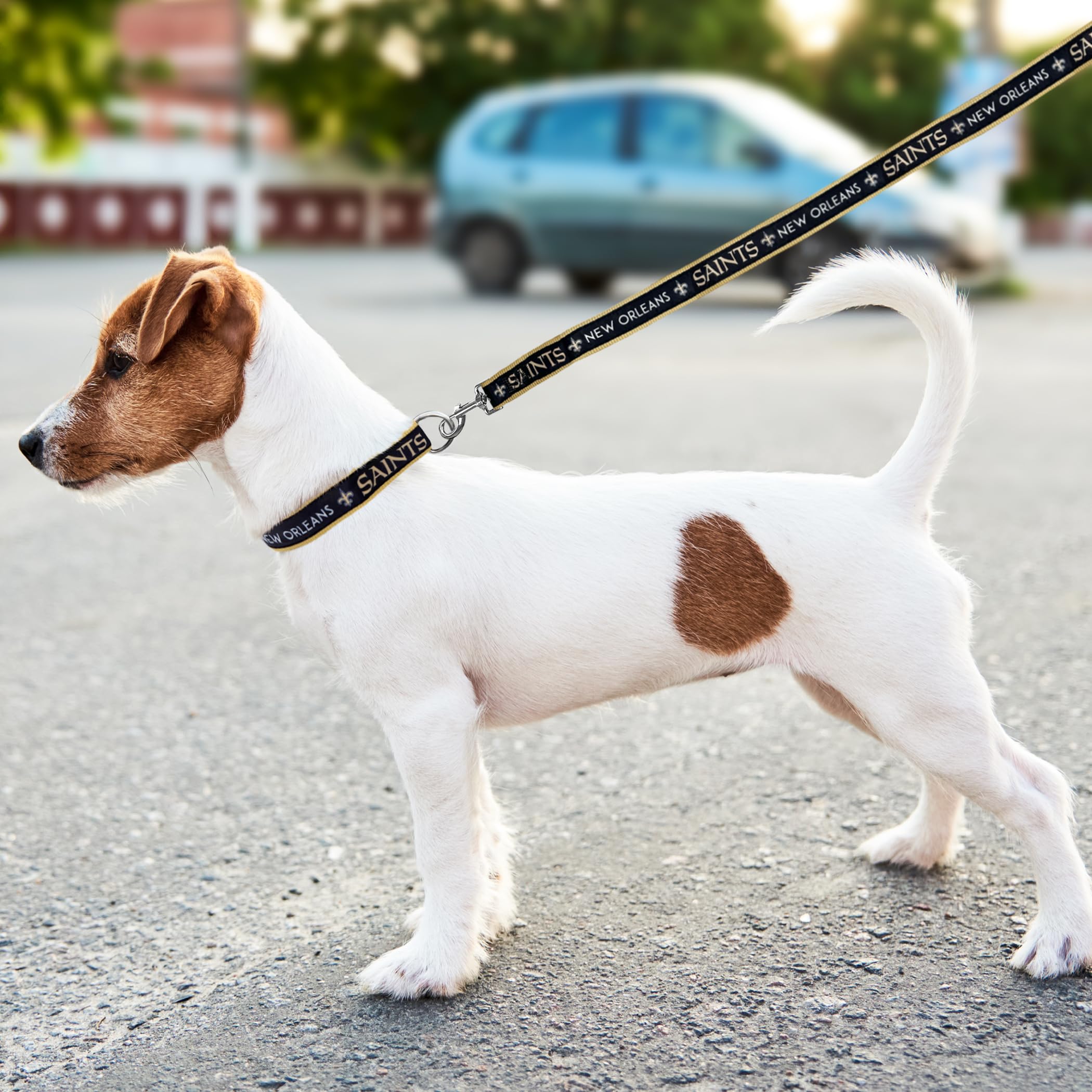 Pets First NFL New Orleans Saints Licensed PET COLLAR, Small - Heavy-Duty, Strong, and Durable Dog Collar. Available in 31 Footb
