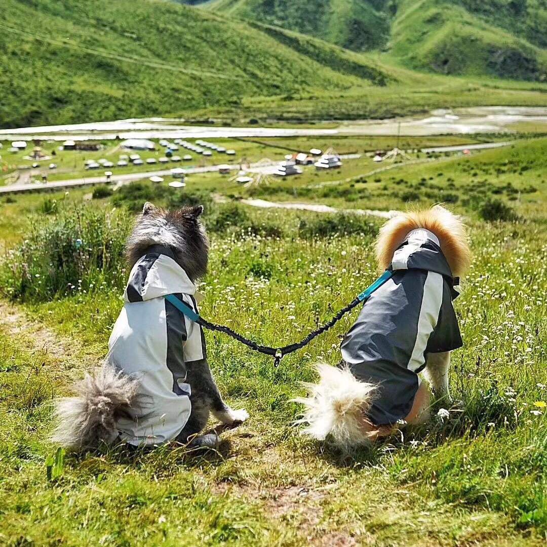 Double Dog Leash Swivel No Tangle Double Dog Walking Training Leash Comfortable Shock Absorbing Reflective Bungee For Two Dogs
