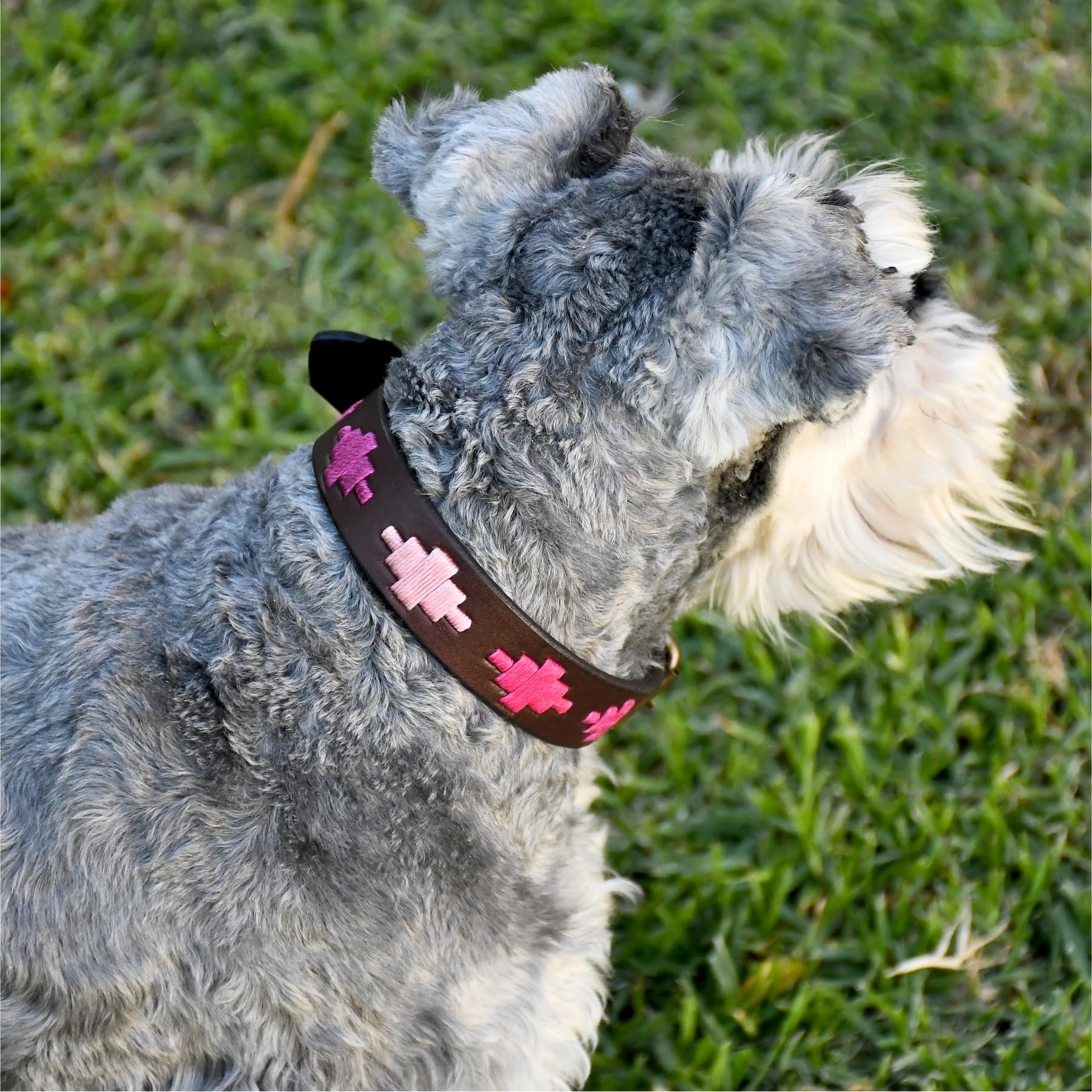 Gaucholife Polo Dog Collar Leather Hand-Stitched For Girls Female Dog Accessories (Large, Pinos)