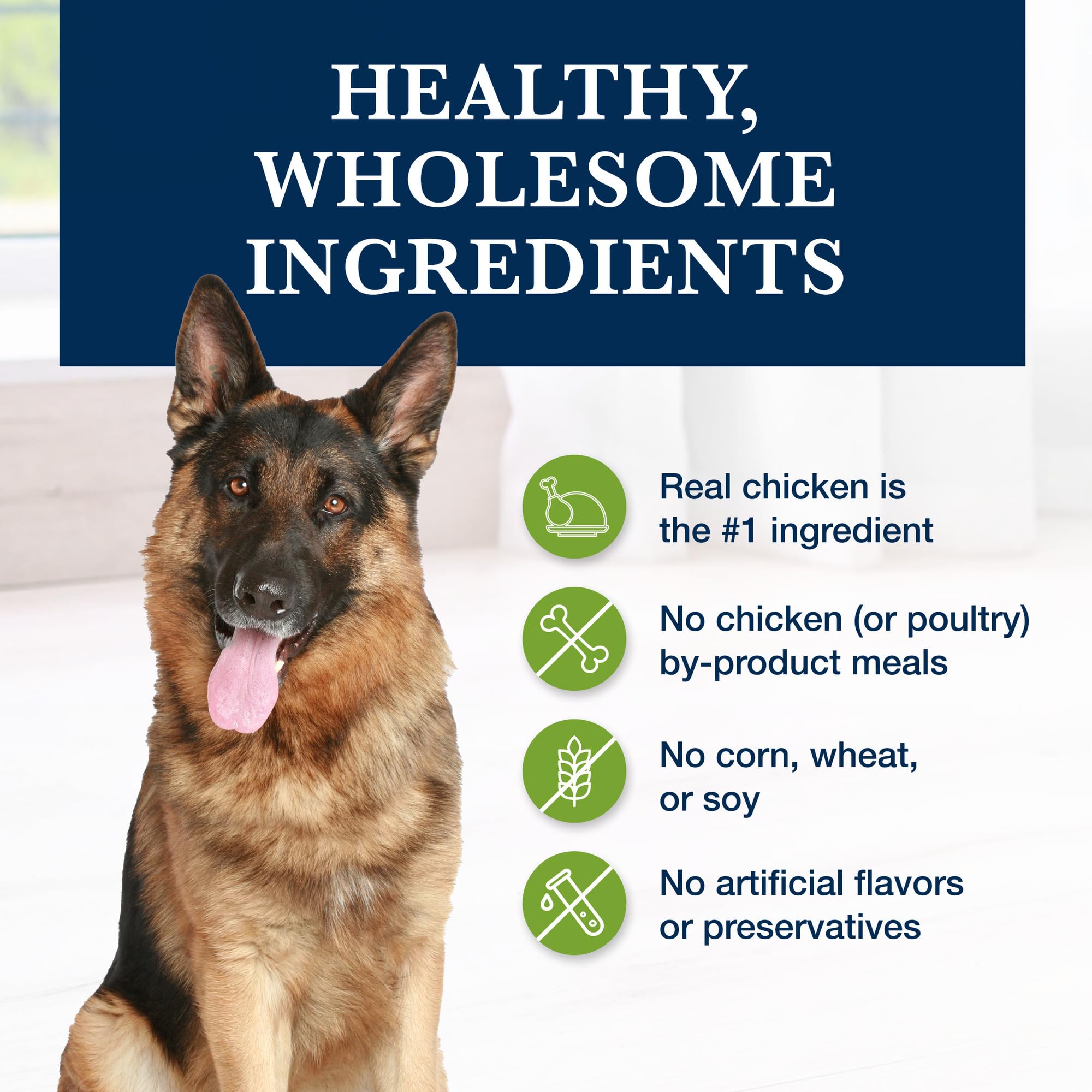 Blue Buffalo Natural Veterinary Diet GI Gastrointestinal Support Dry Dog Food, Veterinarians Prescription Required, Chicken, 6-