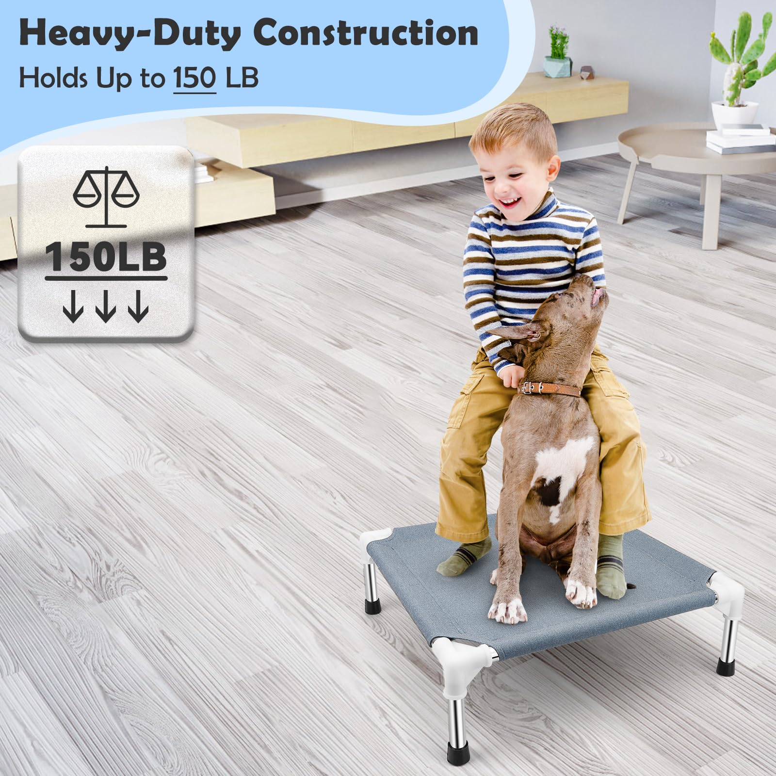 Elevated Dog Bed For Small Dogs, Outdoor Cooling Dog Bed Cot For Small Pets, Indoor Detachable Raised Dog Bed With Non-Slip Feet