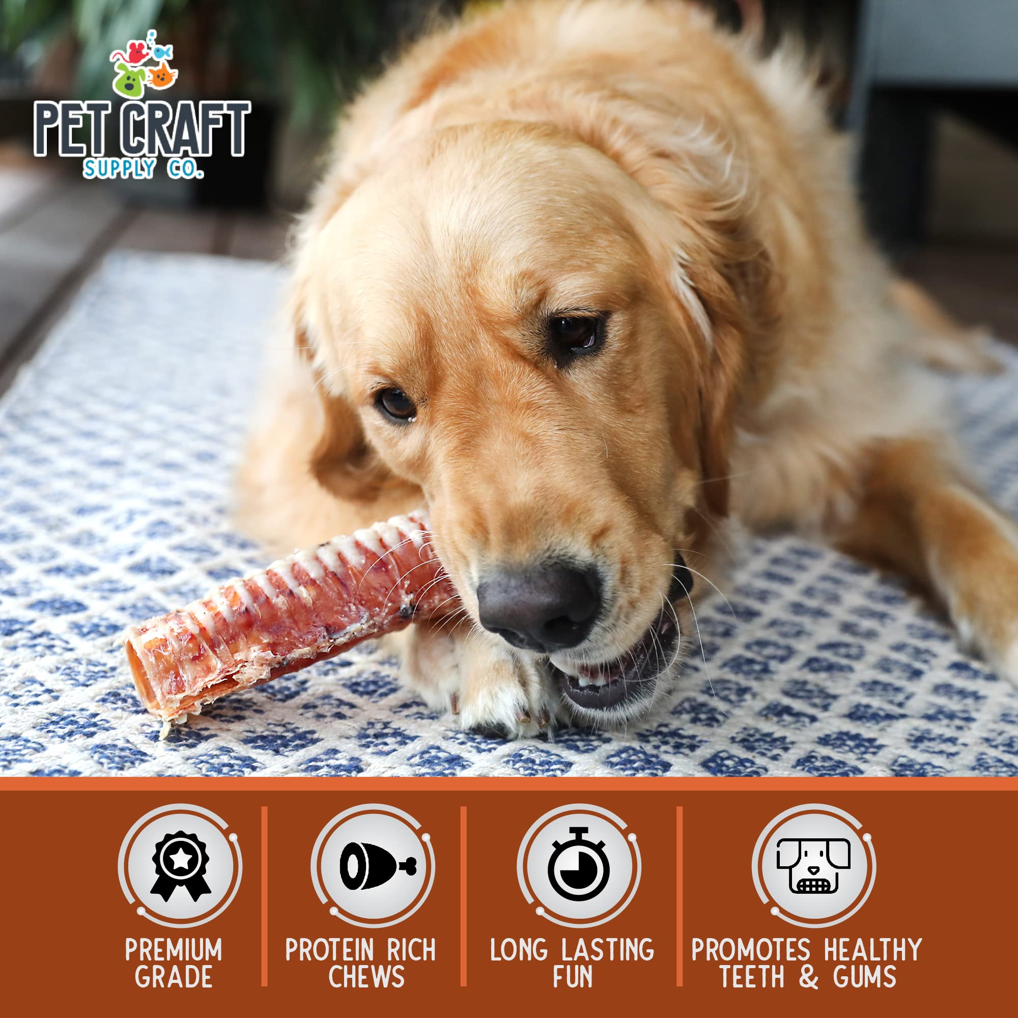 Pet Craft Supply All Natural Healthy Buffalo Trachea Bones Dog Chews Treats for Aggressive Chewers Long Lasting Rawhide Free Pre