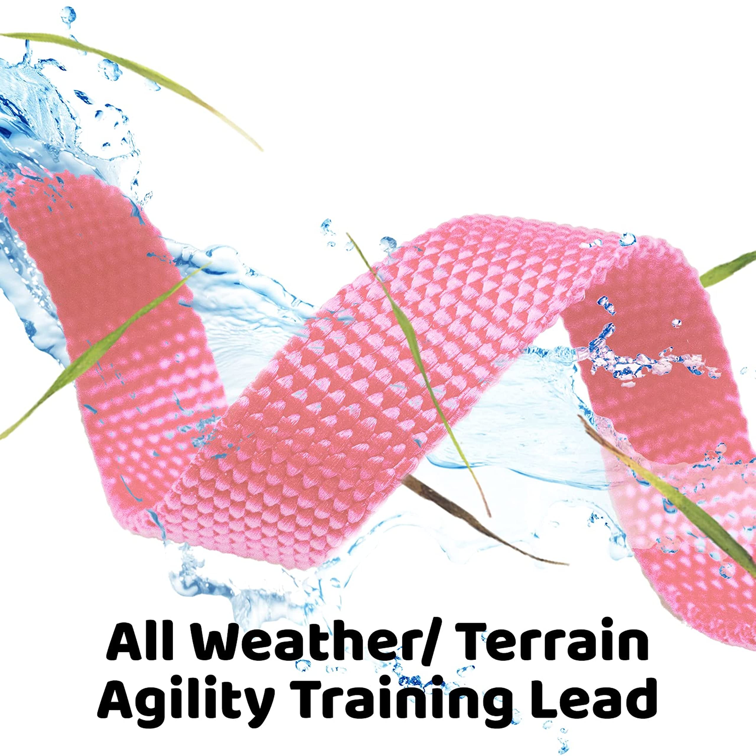 Downtown Pet Supply - Long Dog Leash - 15 ft Pink Nylon Dog Training Leash for Recall & Obedience