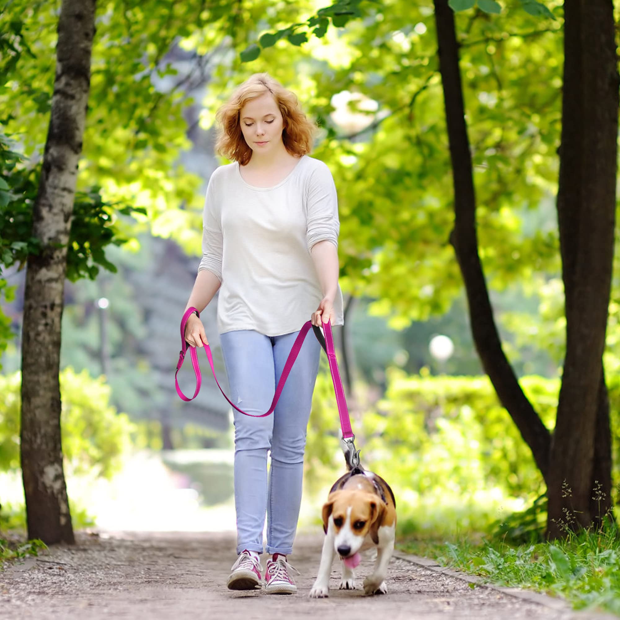 Fida 6 Ft Heavy Duty Dog Leash With 2 Comfortable Padded Handles, Traffic Handle & Advanced Easy Snap Hook, Reflective Walking Lead For Large, Medium & Small Breed Dogs, Rose