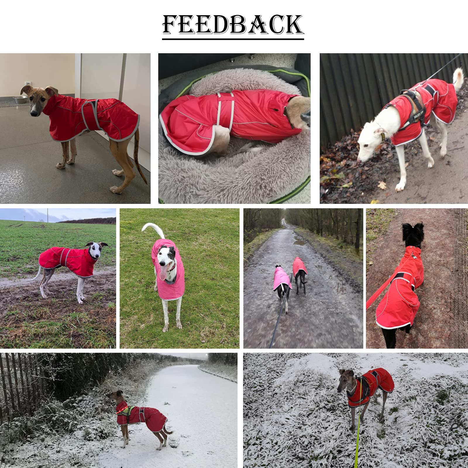 Greyhound Winter Coat, Whippet Coat With Padded Fleece Lining, Water Resistant Dog Jacket With Adjustable Bands And Reflective - Pink - Large