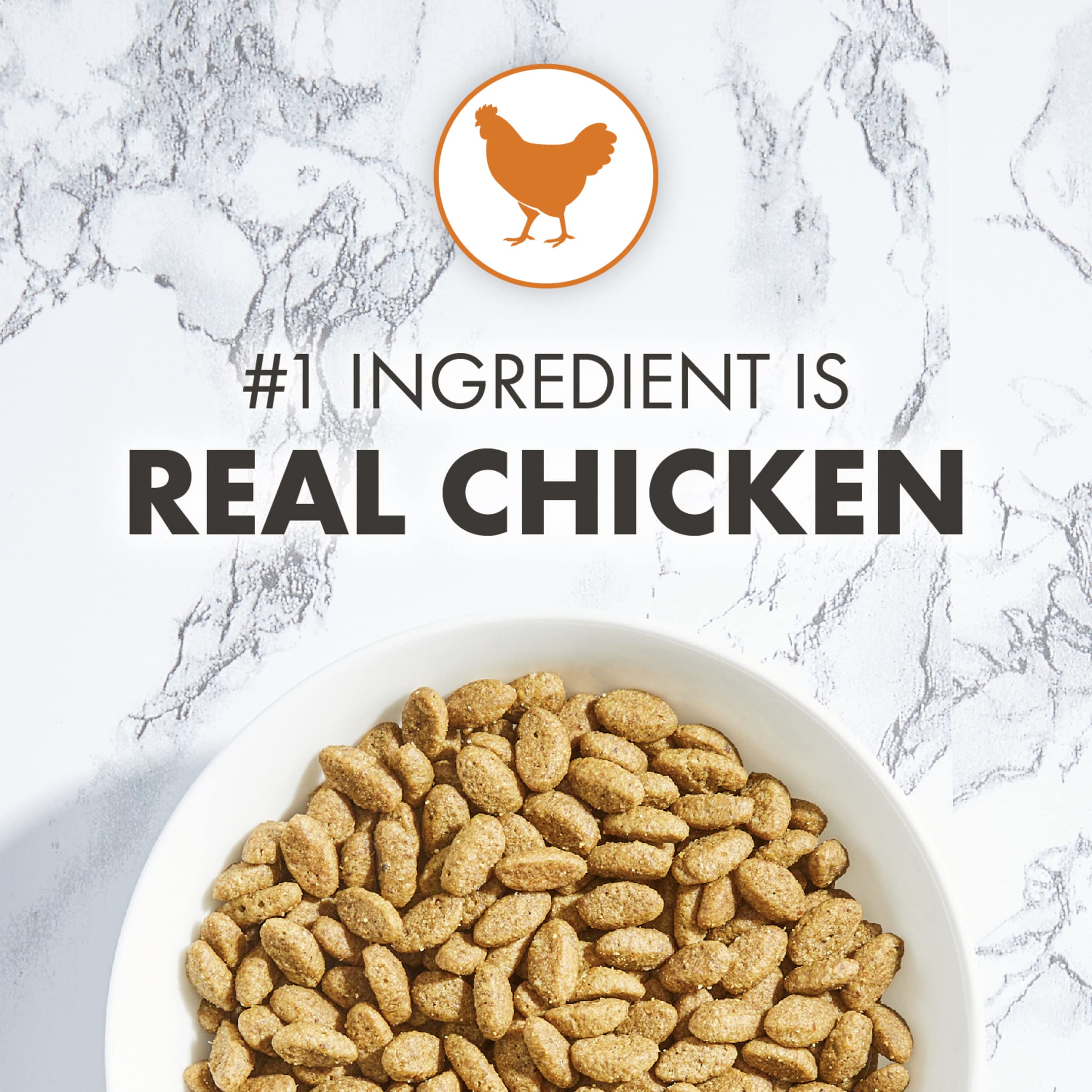 Nutro Indoor Adult - Chicken & Whole Brown Rice - 3 lb