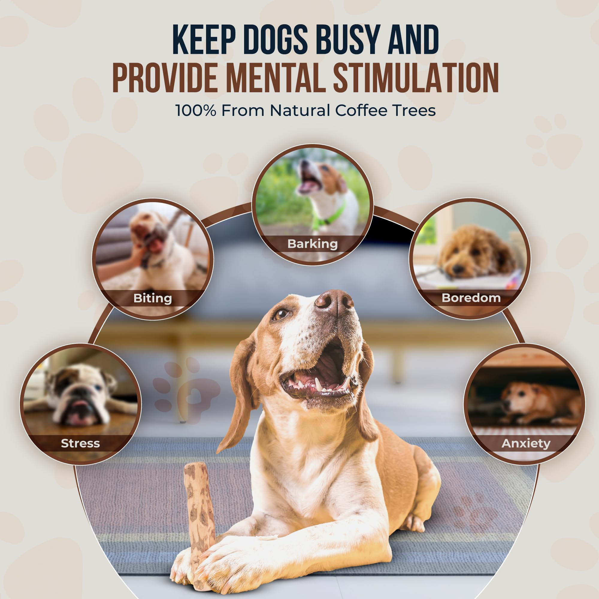 GOWGOW Coffee Wood Dog Chew & Rope Toys Set of 2, 100% Natural, Medium Size, Ideal for Teeth Cleaning and Training