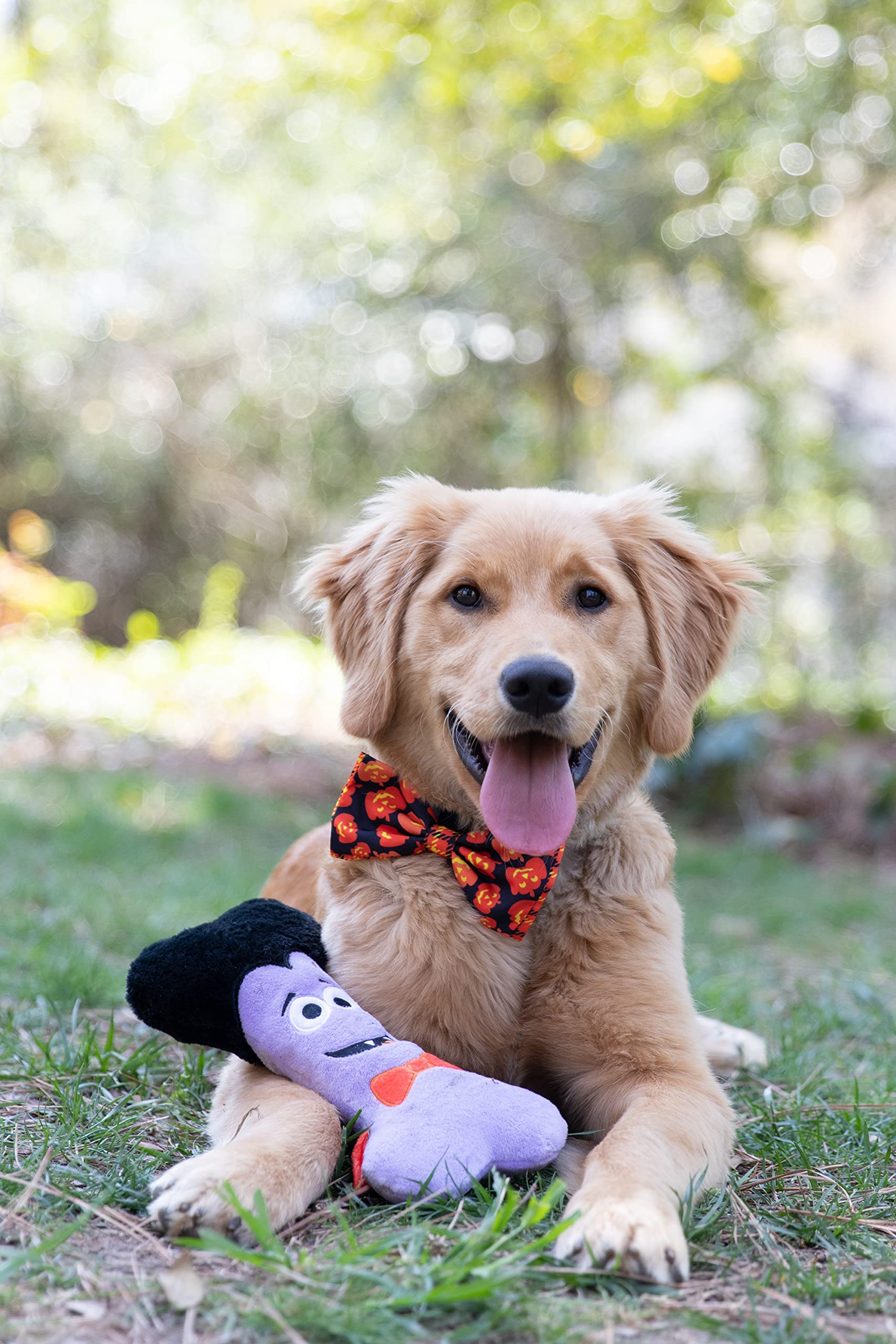Huxley & Kent Bow Tie For Pets | Plaid-O-Lantern (Small) | Halloween Bow Tie Collar Attachment | Fun Bow Ties For Dogs & Cats | Cute, Comfortable, And Durable | H&K Bow Tie