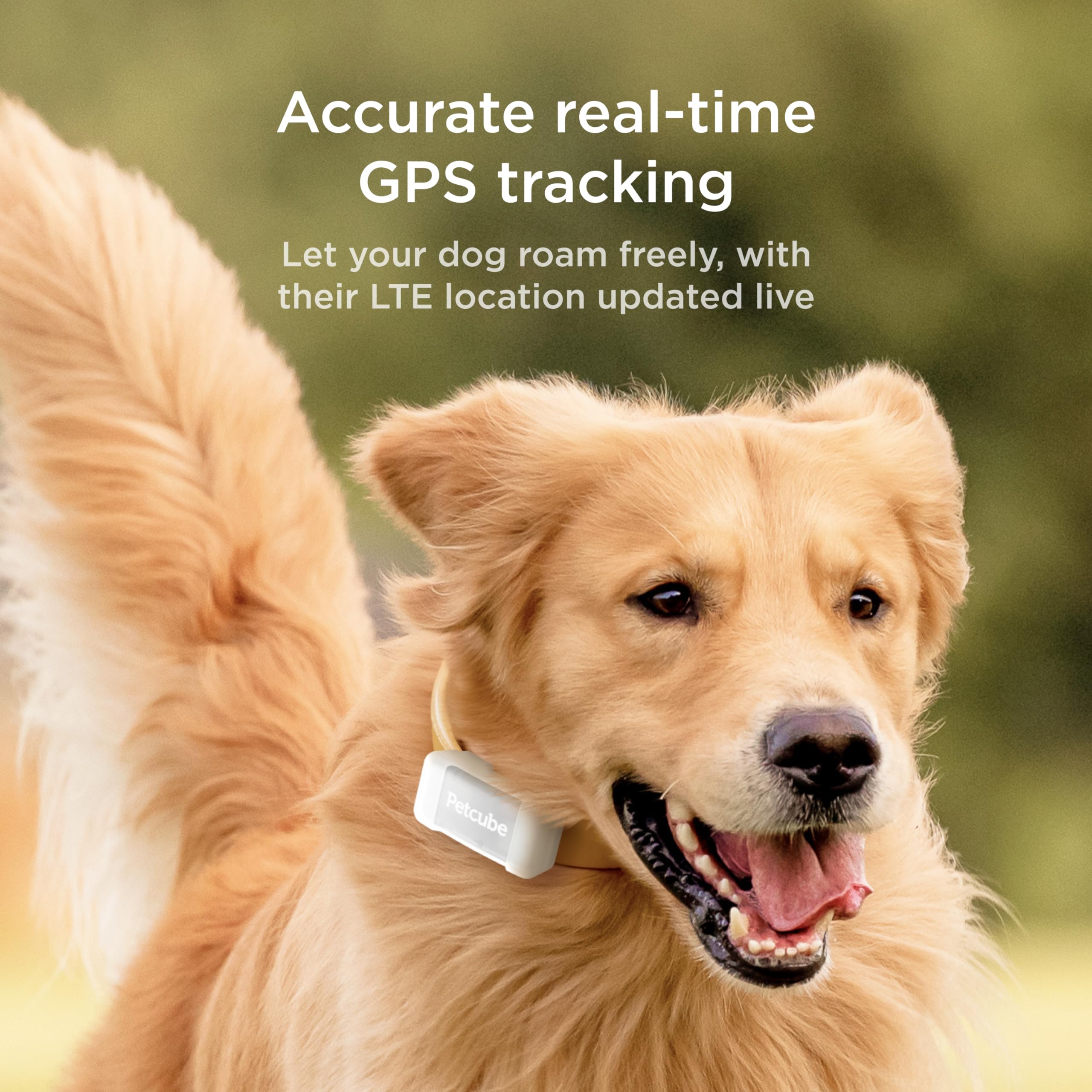 Petcube GPS Tracker for Dogs - Escape Alerts, Virtual Fences, Activity Monitoring, Water & Dust Proof, Model 13-LC6F-PCX9