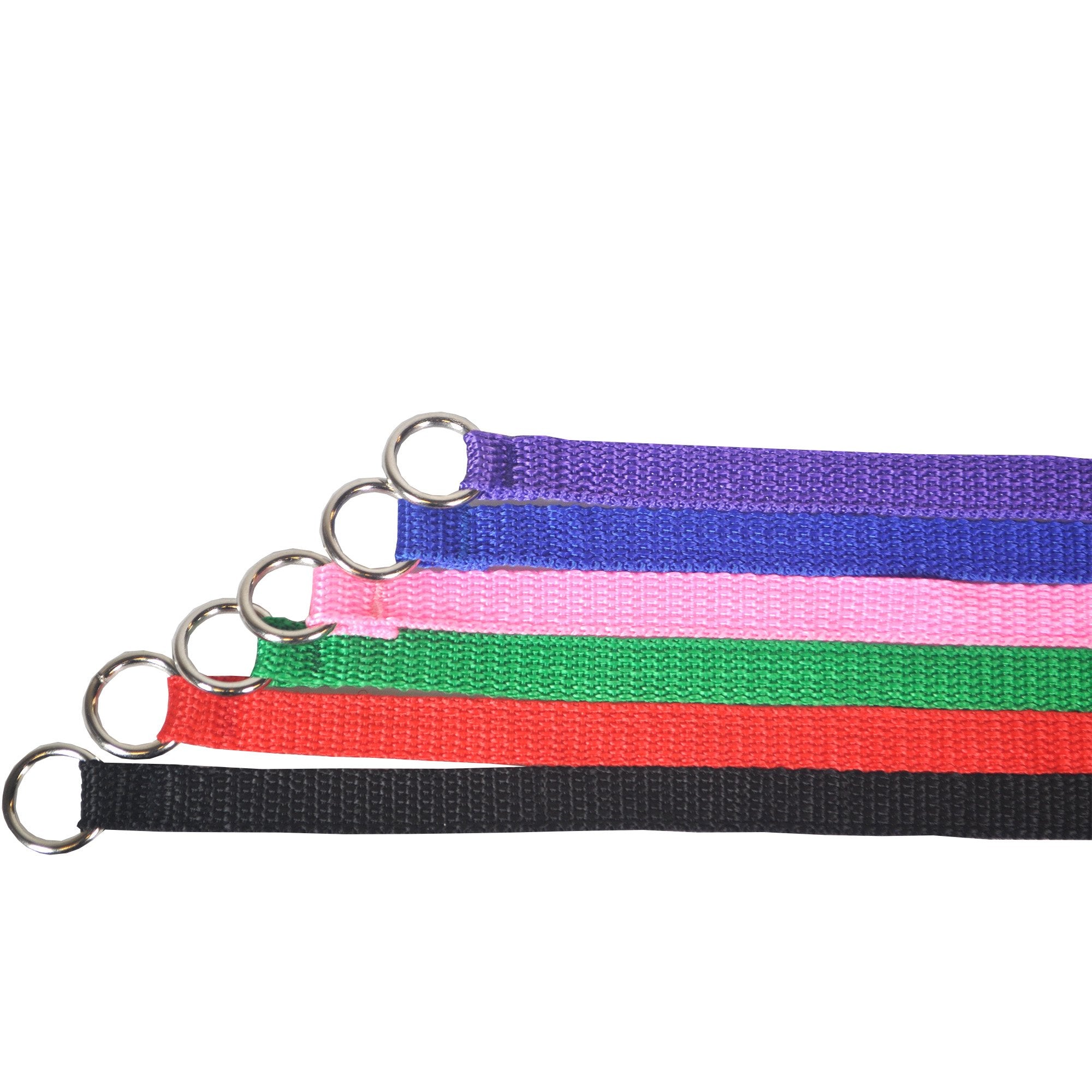 Downtown Pet Supply - 6Ft Dog Kennel Slip Lead Dog Leash - Veterinarian, Dog Grooming, Daycare & Animal Rescue Dog Supplies - One Size Leads For Dogs Bulk - 1' Thick 120 Pack