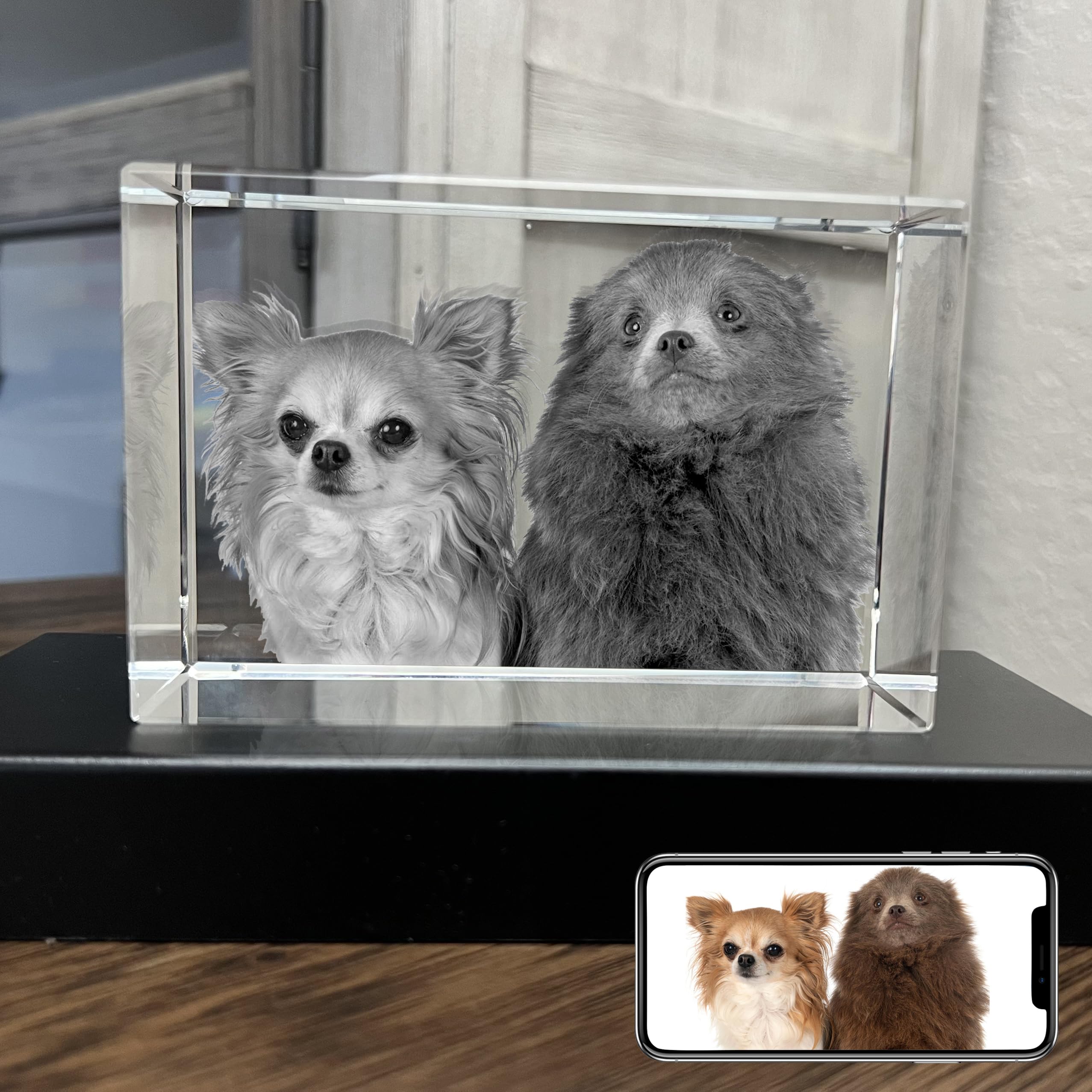 Pd 3Dpixdance Personalized Dog, Cat Memorial Gifts For Pet Owners. Gift Box Included, Customized Laser Etched Crystal Photo (Lar
