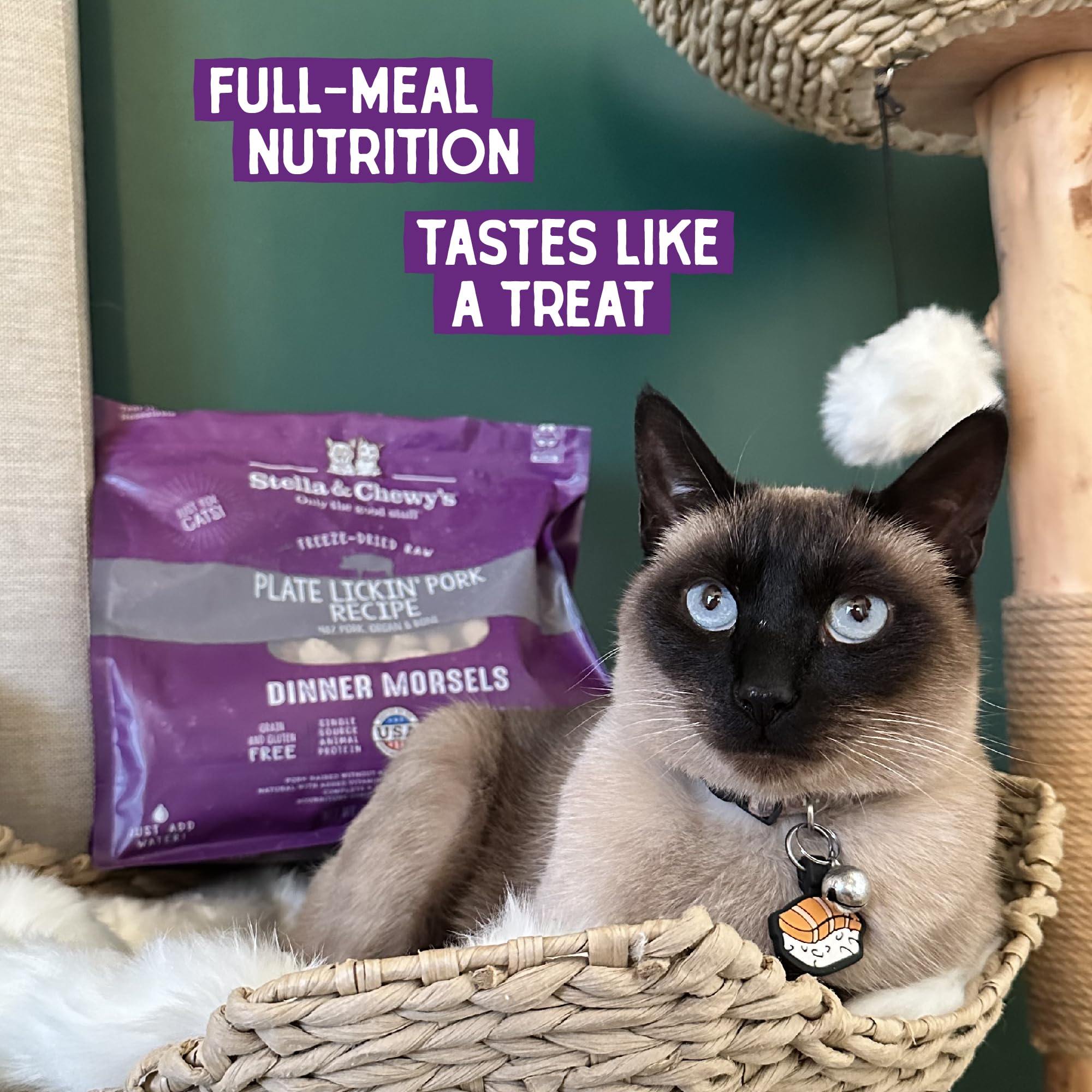 Stella & Chewys Freeze-Dried Raw Cat Dinner Morsels - Grain Free, Protein Rich Cat & Kitten Food - Plate Lickin Pork Recipe -
