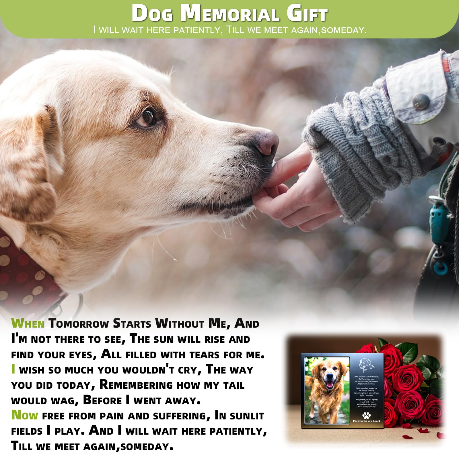 Joeziton Dog Memorial Gifts For Loss Of Dog, Loss Of Dog Sympathy Gift, Rainbow Bridge Dog Memorial Picture Frame, 4X6 Inch Personalized Metal