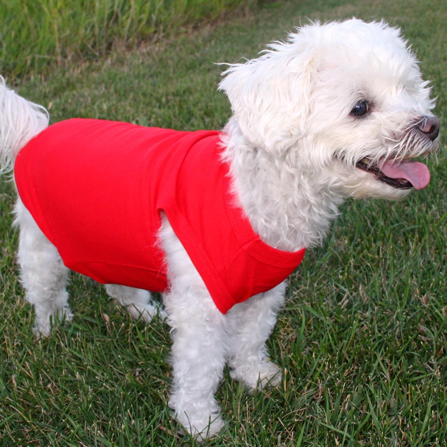 Doggie Design Cotton Dog Tank (Flame Scarlet Red, L)