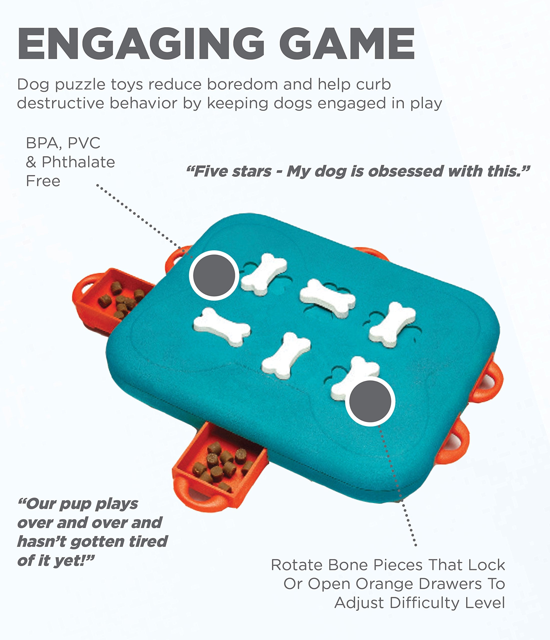 Outward Hound by Nina Ottosson Dog Casino Treat Puzzle Enrichment Toy, Level 3 Advanced, Turquoise