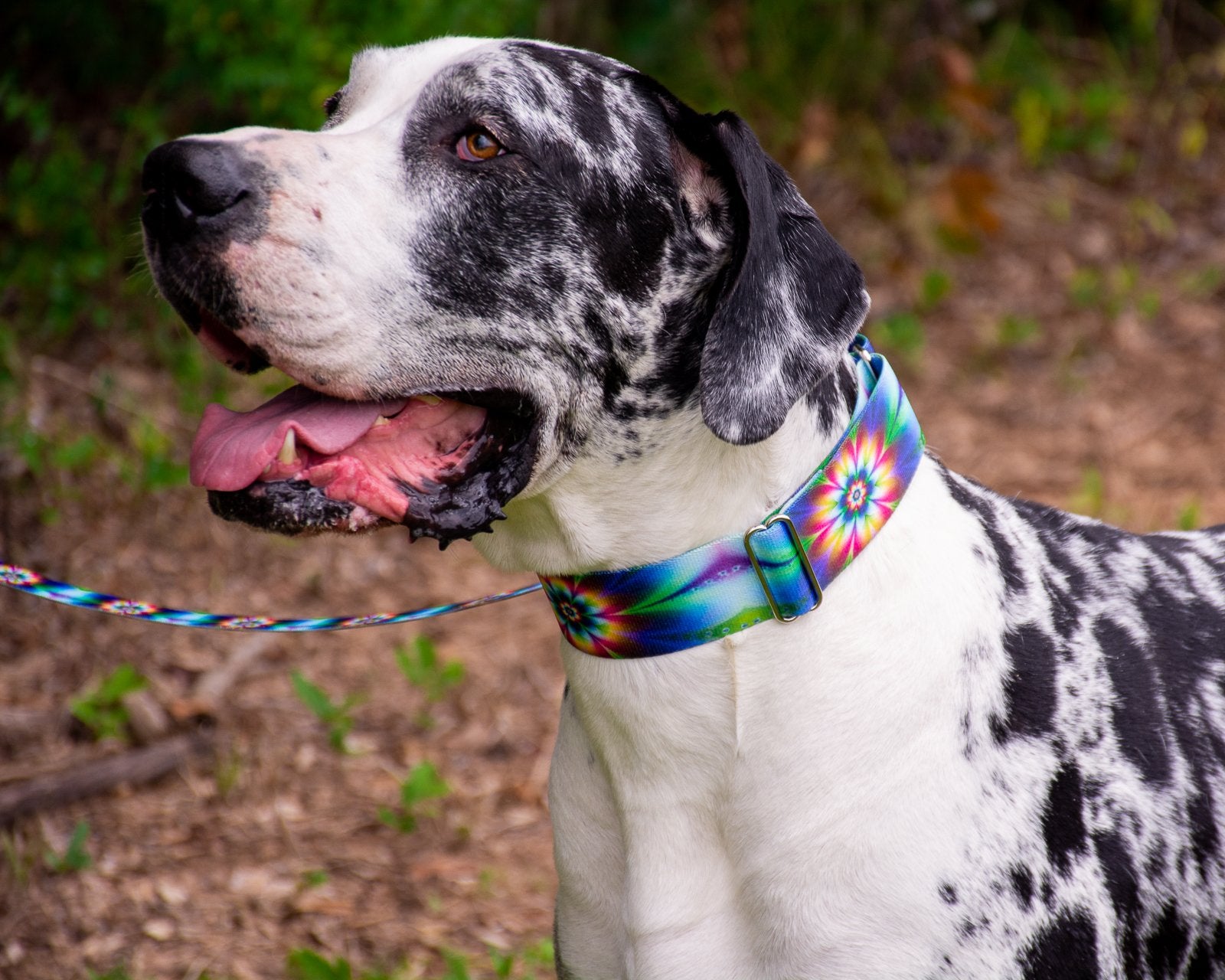 Country Brook Petz - Tie Dye Flowers Martingale Dog Collar - Groovy Collection Featuring Far Out Designs (1/2 Inch, Extra Small)