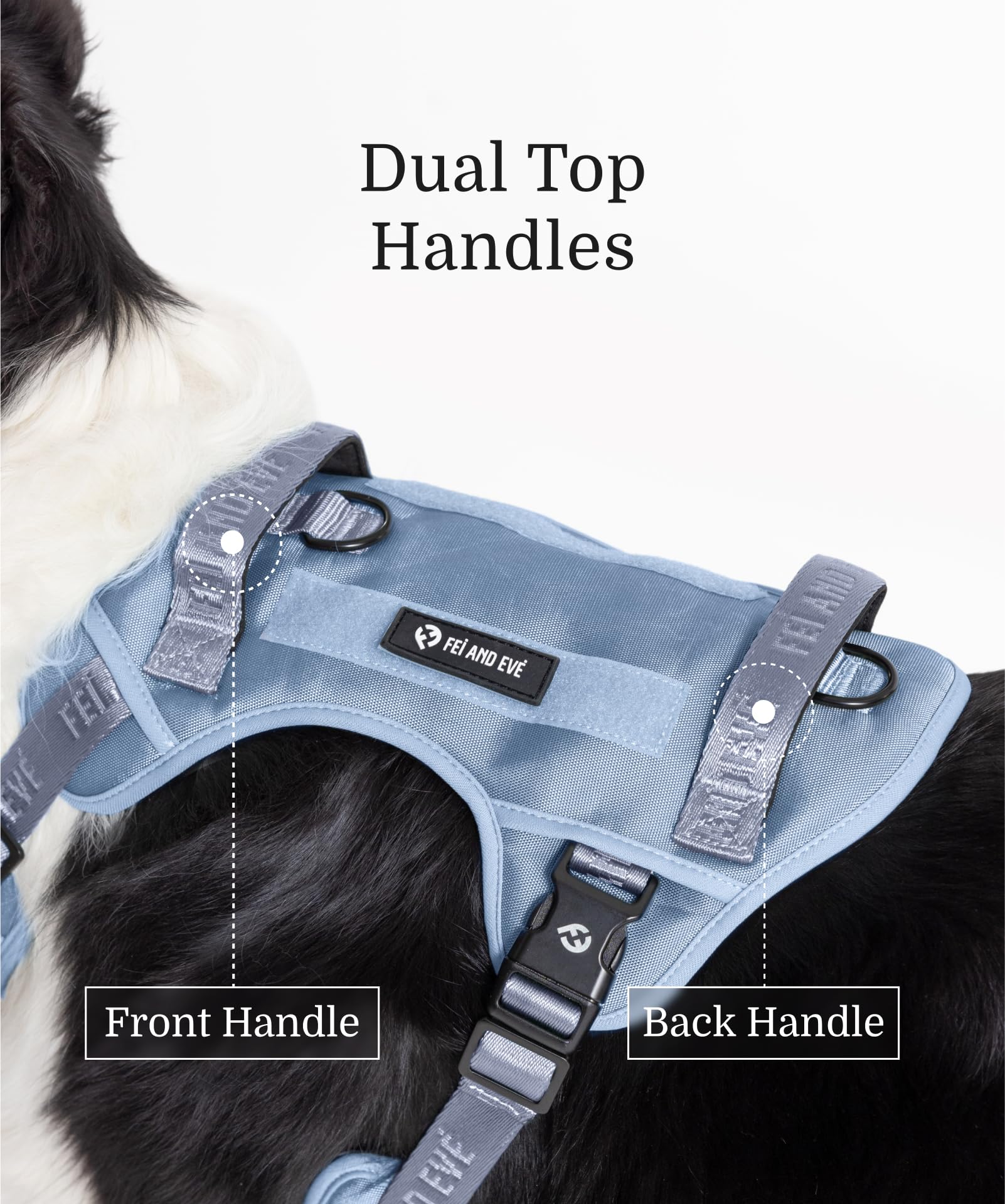 2025 New Edition, Fei & Eve Classic Dog Harness - Quick-Release Buckles | 3-Point No-Pull Control | Heavy-Duty 900D Nylon | Dual