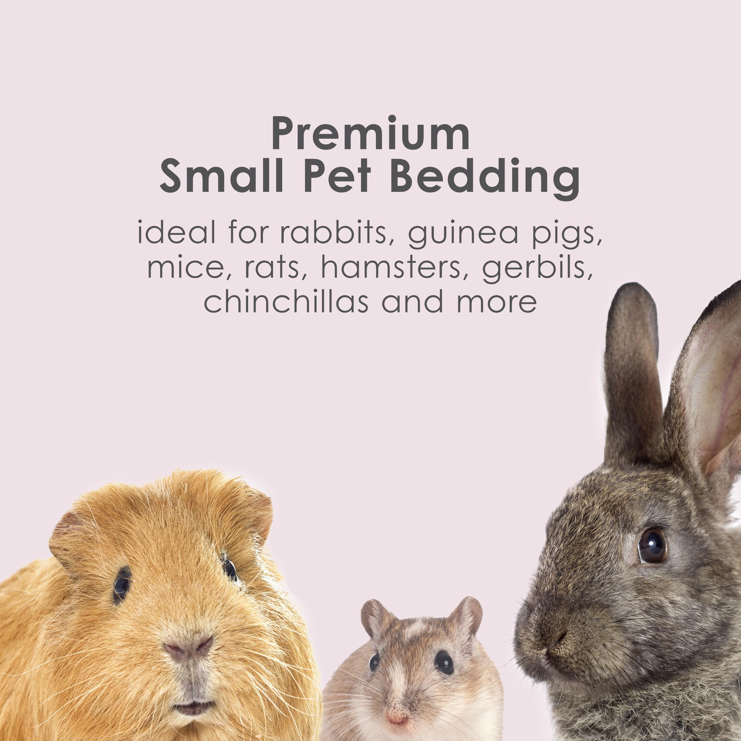 Kaytee Clean & Cozy Colors, Small Animal Bedding With Extreme Odor Control, Plum, 24.6 Liters