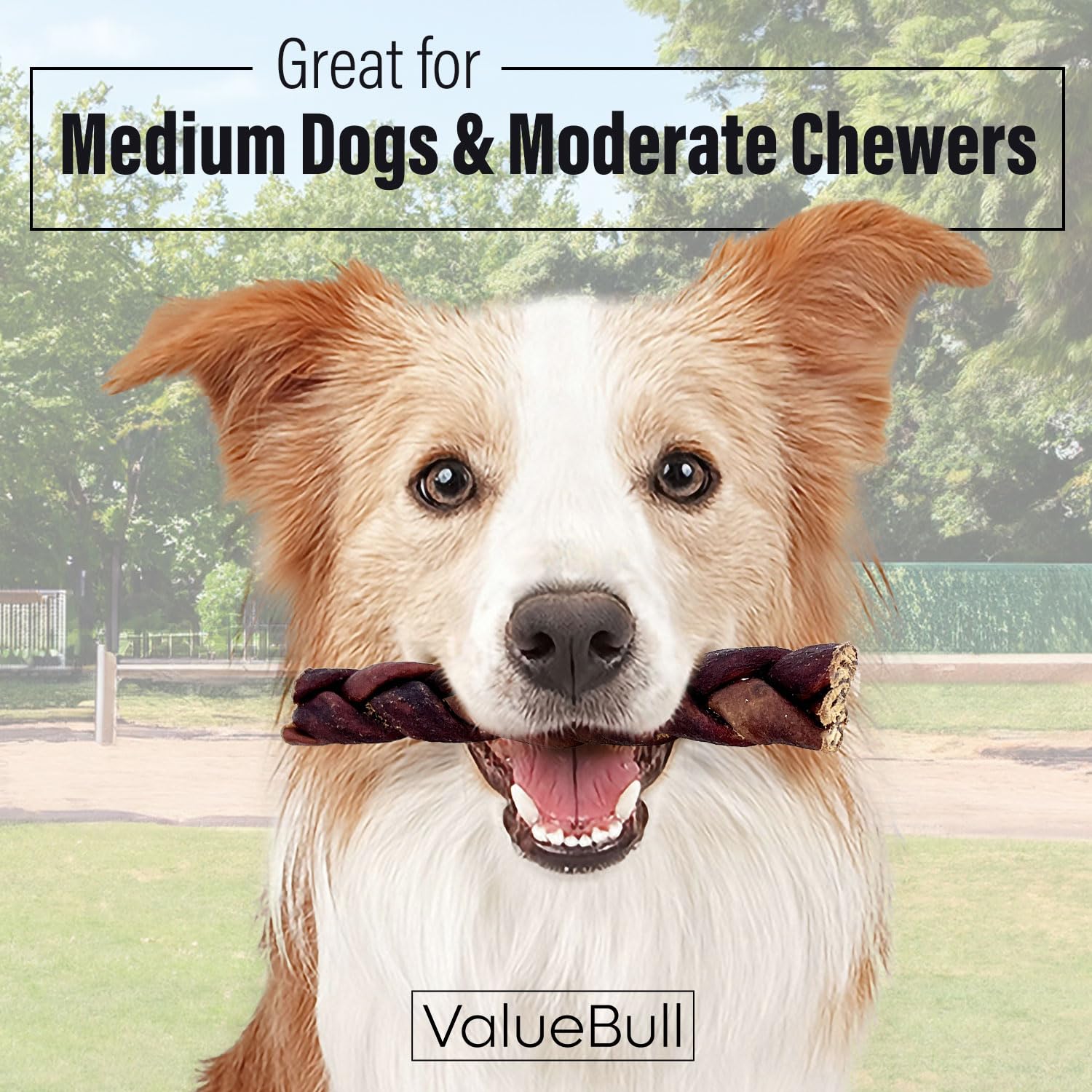 ValueBull Collagen Braided Sticks for Dogs, 6 Inch Medium Chews, Natural Long-Lasting Dog Treats, 25 Count Bulk Pack - Supports