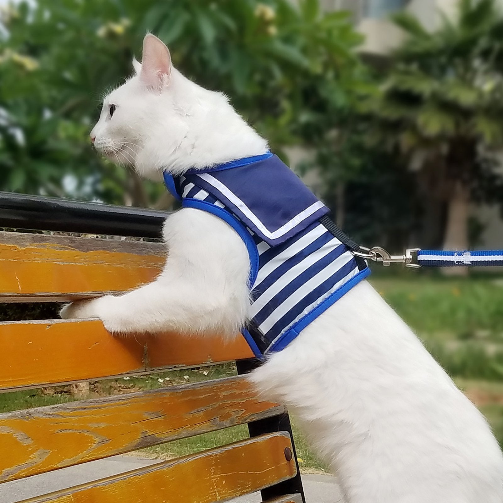 Yizhi Miaow Cat Harness And Leash For Walking Escape Proof, Adjustable Cat Vest Harness, Padded Stylish Cat Walking Jackets, Sailor Suit Navy, Large