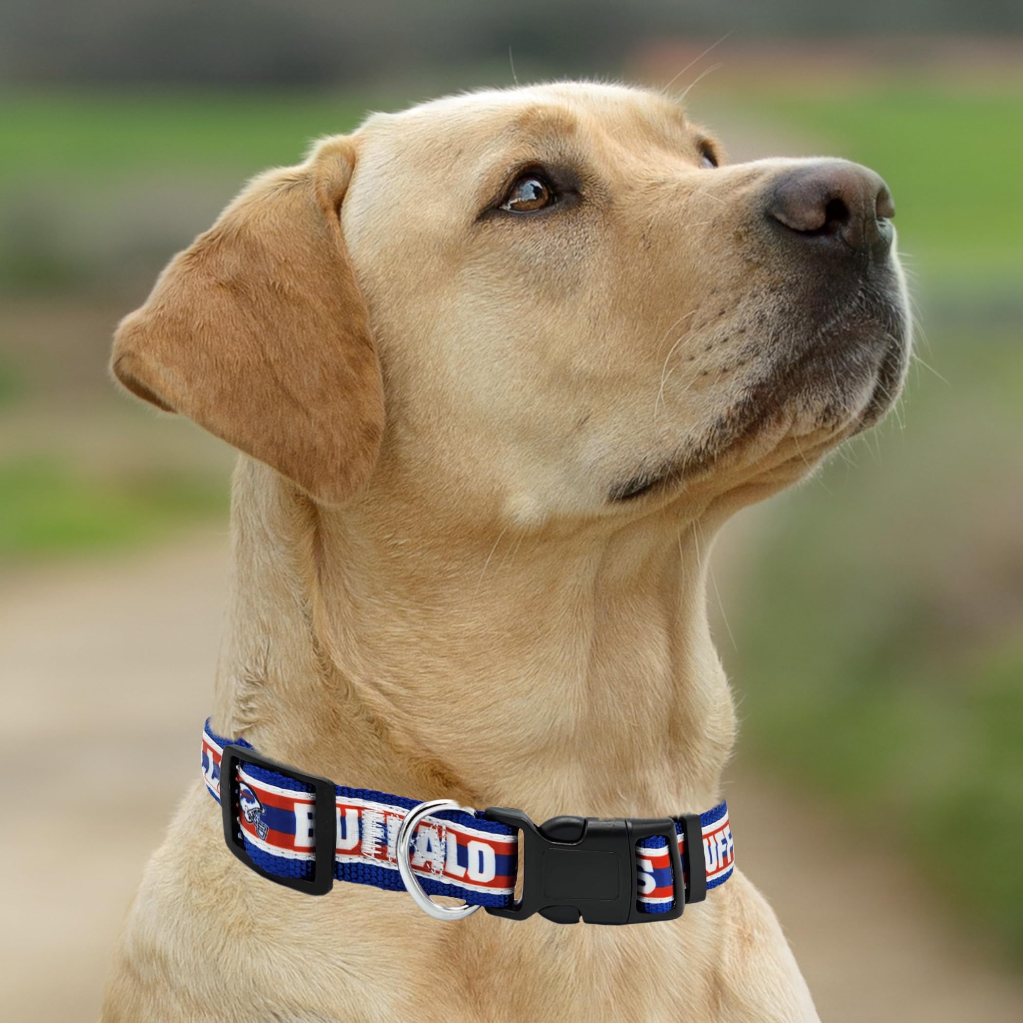 Pets First NFL Buffalo Bills Licensed PET COLLAR, Large - Heavy-Duty, Strong, and Durable Dog Collar. Available in 31 Football T