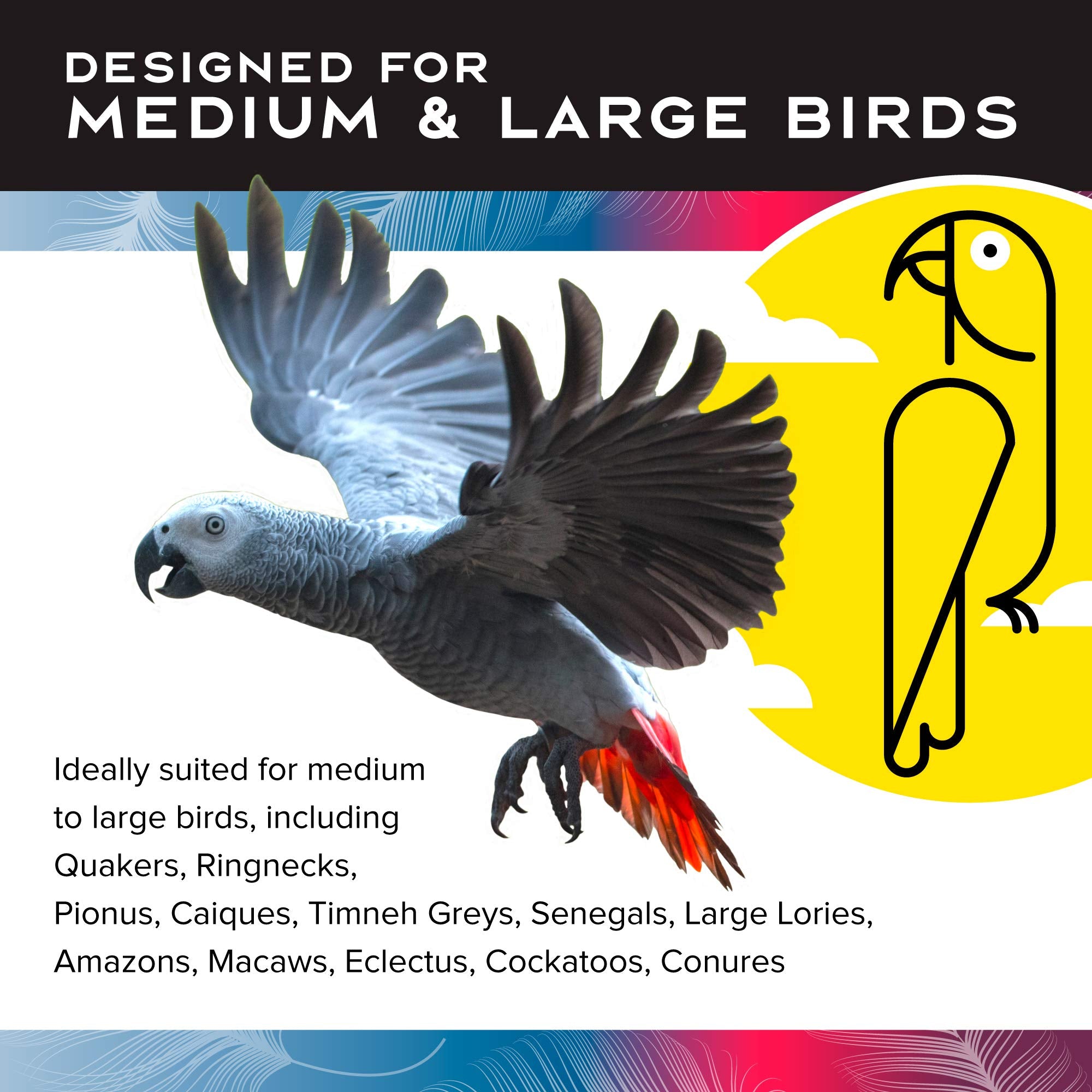 Featherland Paradise | Foraging Ball with Bell Interactive Bird Toy and Treat Dispenser | Creative Foraging Systems | Ideal for