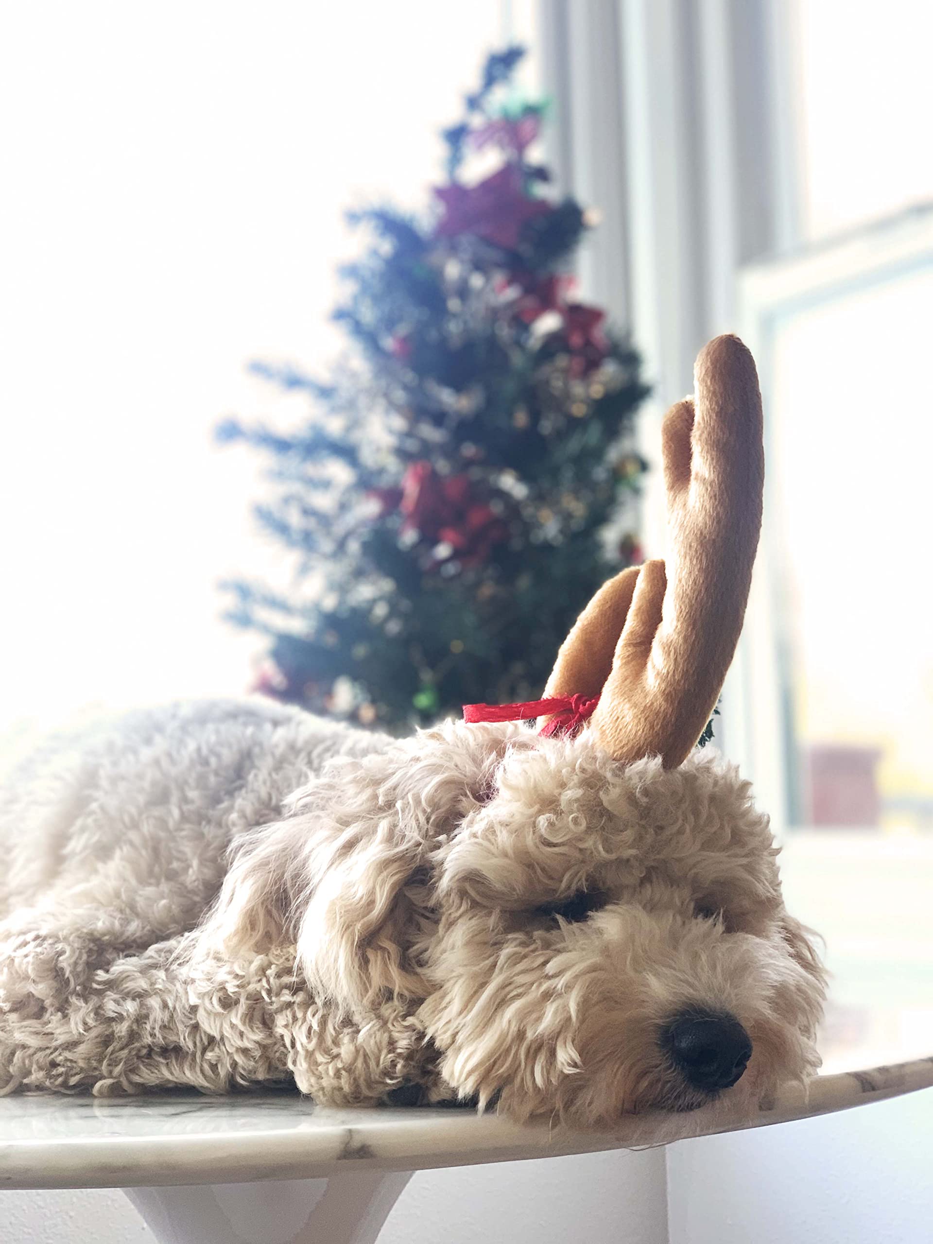 ComfyCamper Reindeer Antler Dog Costume - Brown Polyester Headband for Small to X-Large Pets