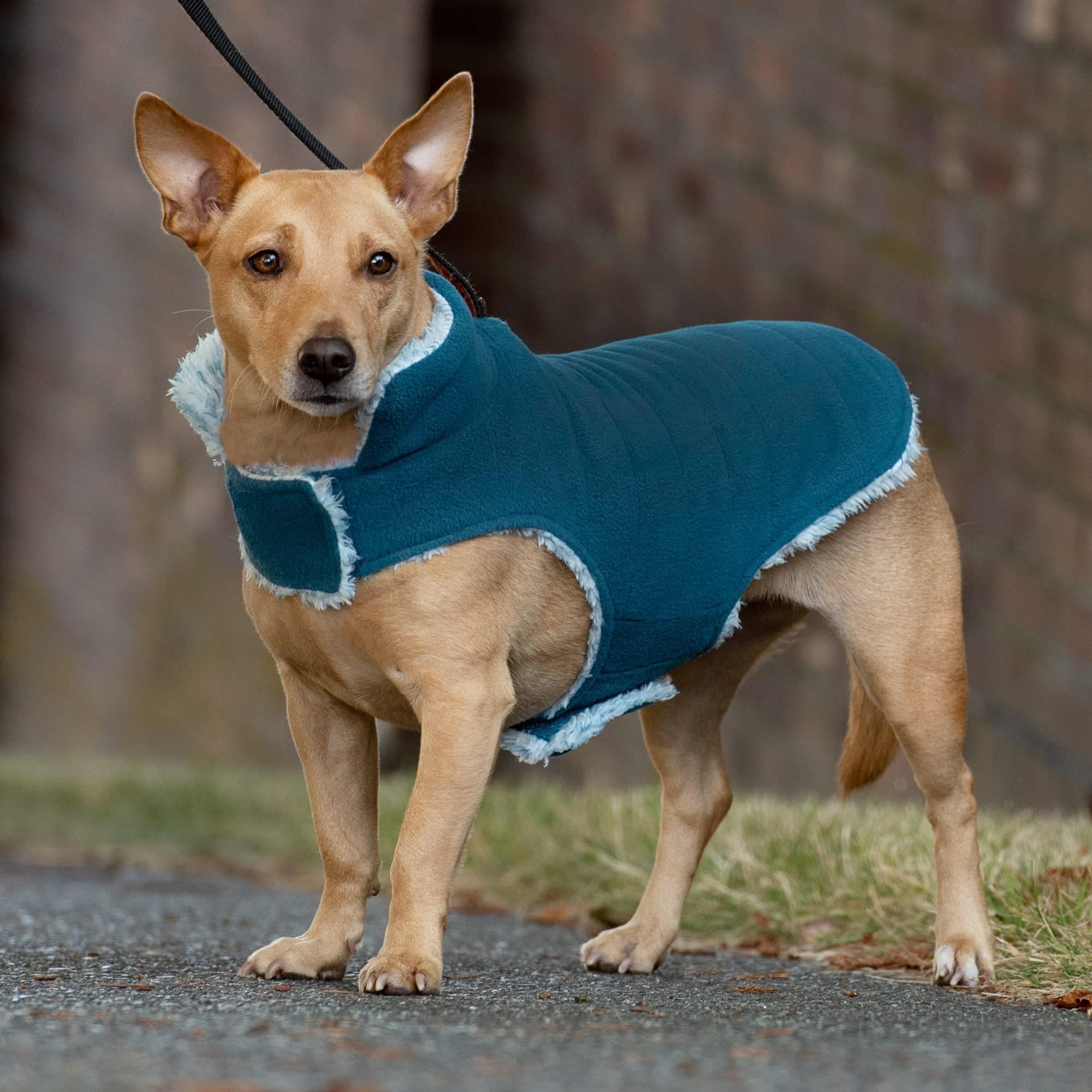 Furhaven Small Dog Coat - Reversible, Washable, Insulating, Marine Blue, Faux Fur & Quilted Fleece, Model 212419