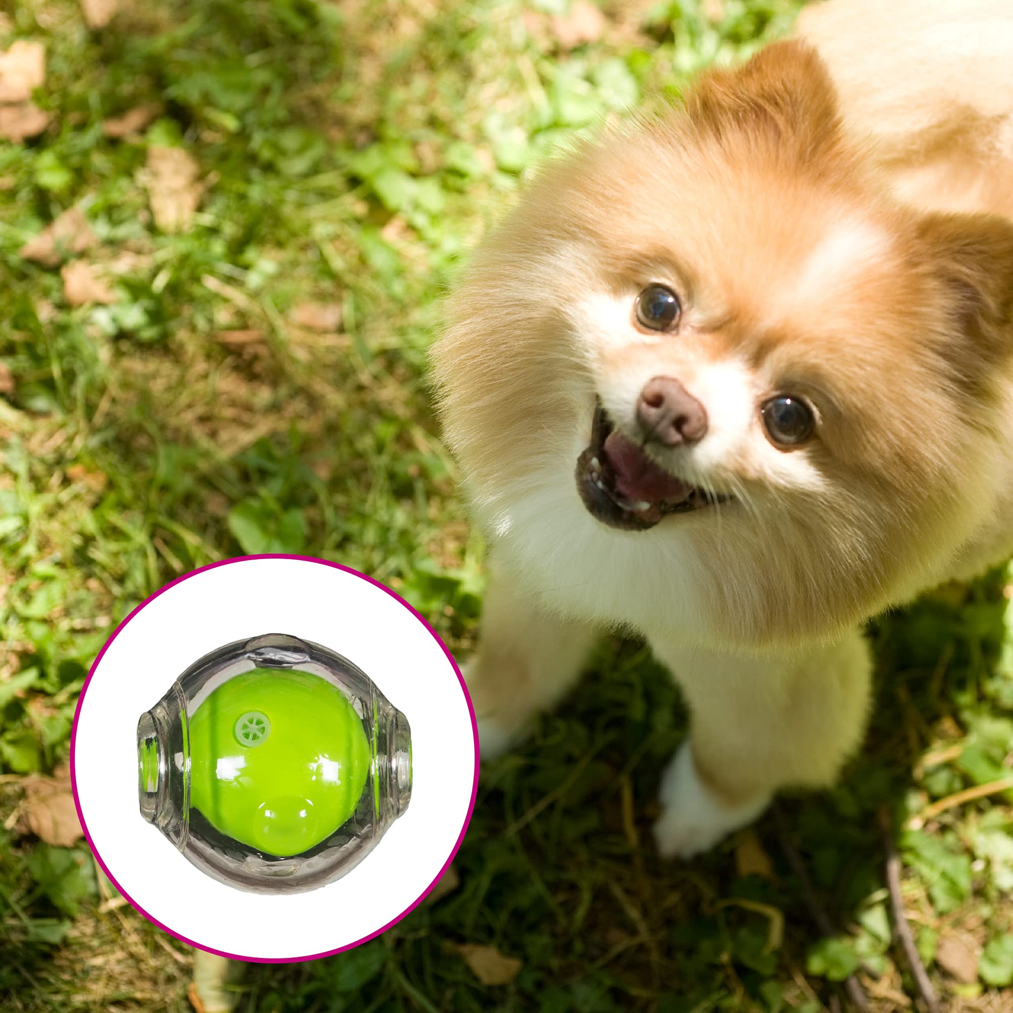 Chase 'N Chomp Amazing Squeaker Ball Toy For Pets, Clear, 2.5 Inch