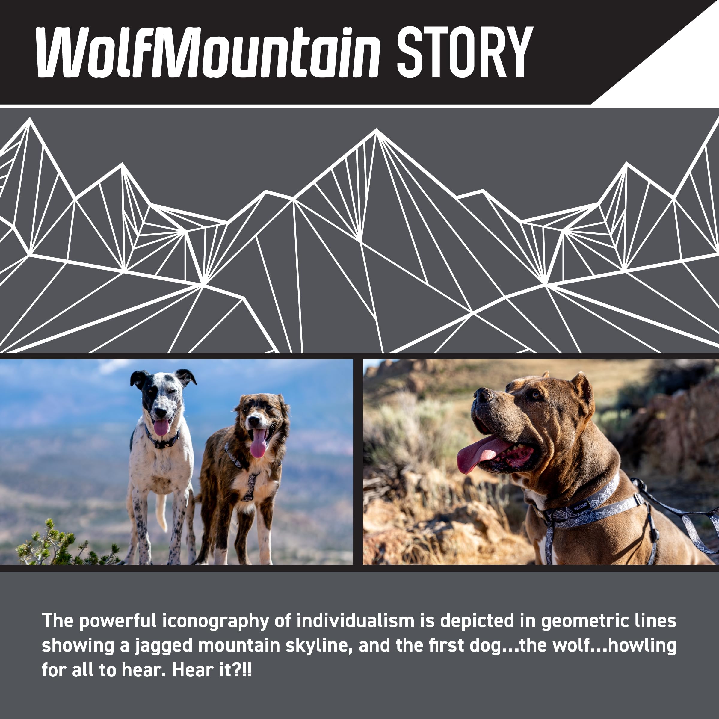 Wolfgang Heavy Duty Adjustable Dog Harness, Pull-Tested to Over 800 lbs for Walking & Training, WolfMountain Print, Large