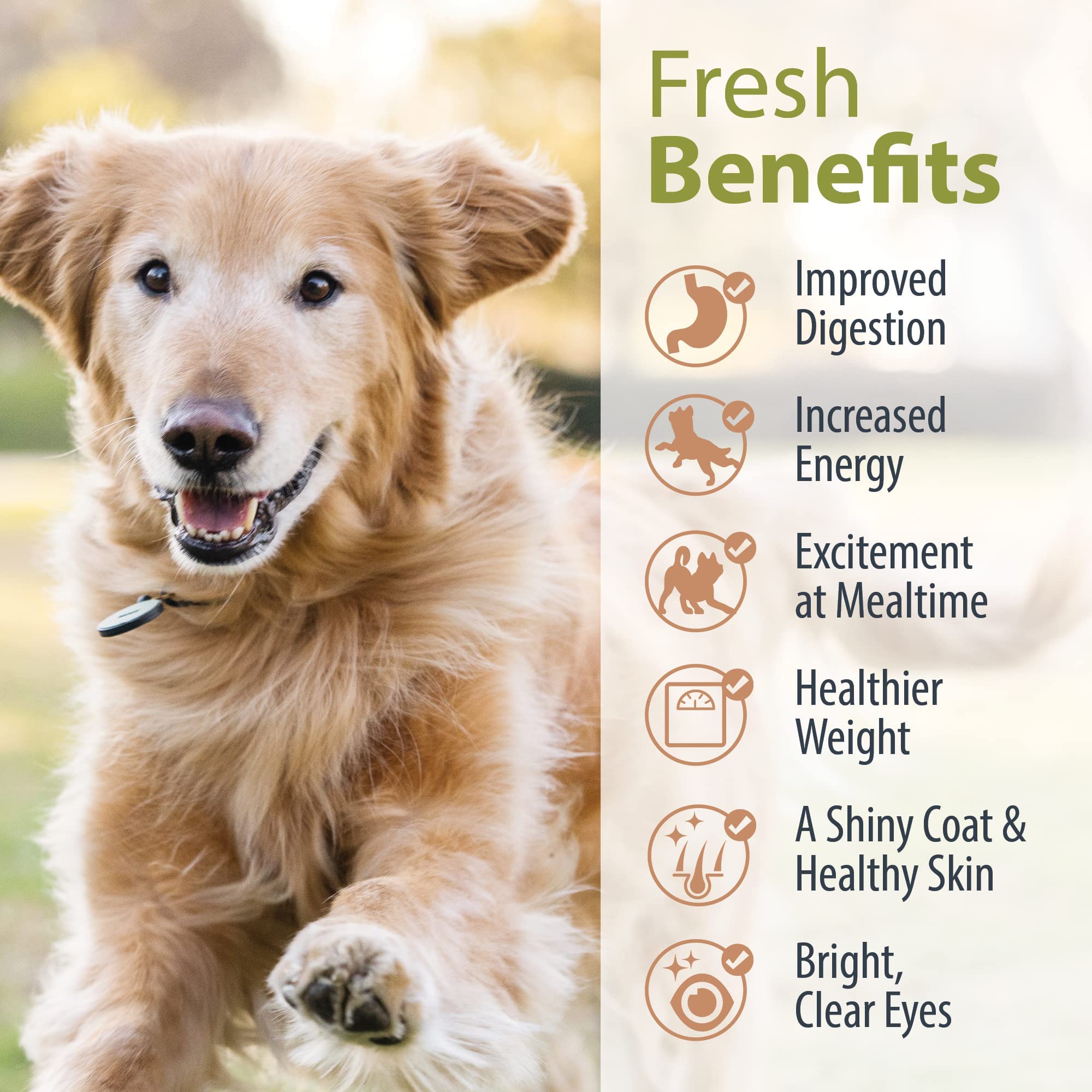 JustFoodForDogs Pantry Fresh Wet Dog Food, Complete Meal or Dog Food Topper, Beef & Russet Potato Human Grade Dog Food Recipe -