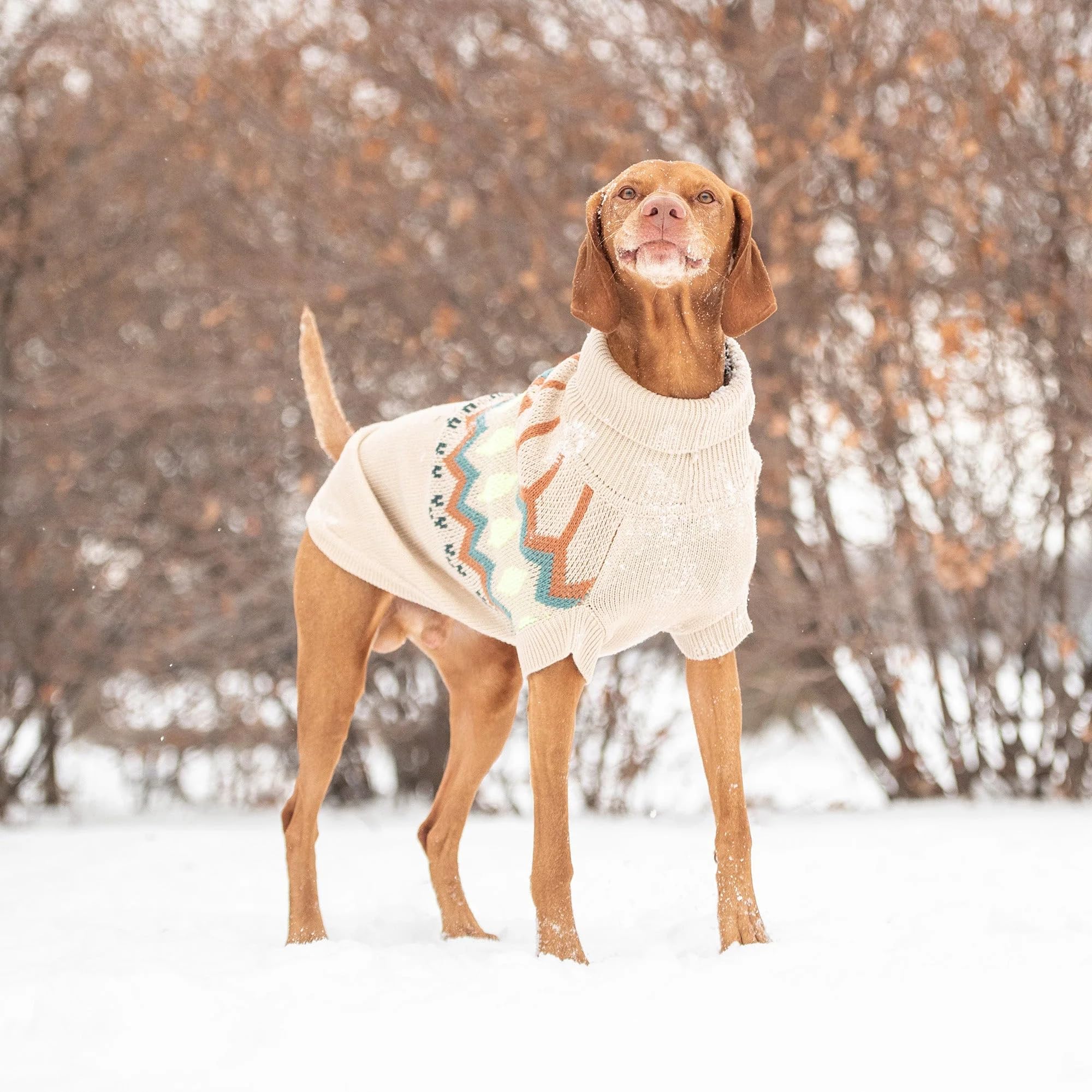 Gf Pet Heritage Sweater Dog Pullover – Classic Ribbed Knit Sweater For Dogs | Soft & Warm Acrylic | Timeless Design | Small, Medium, Large Pets – Sand, M