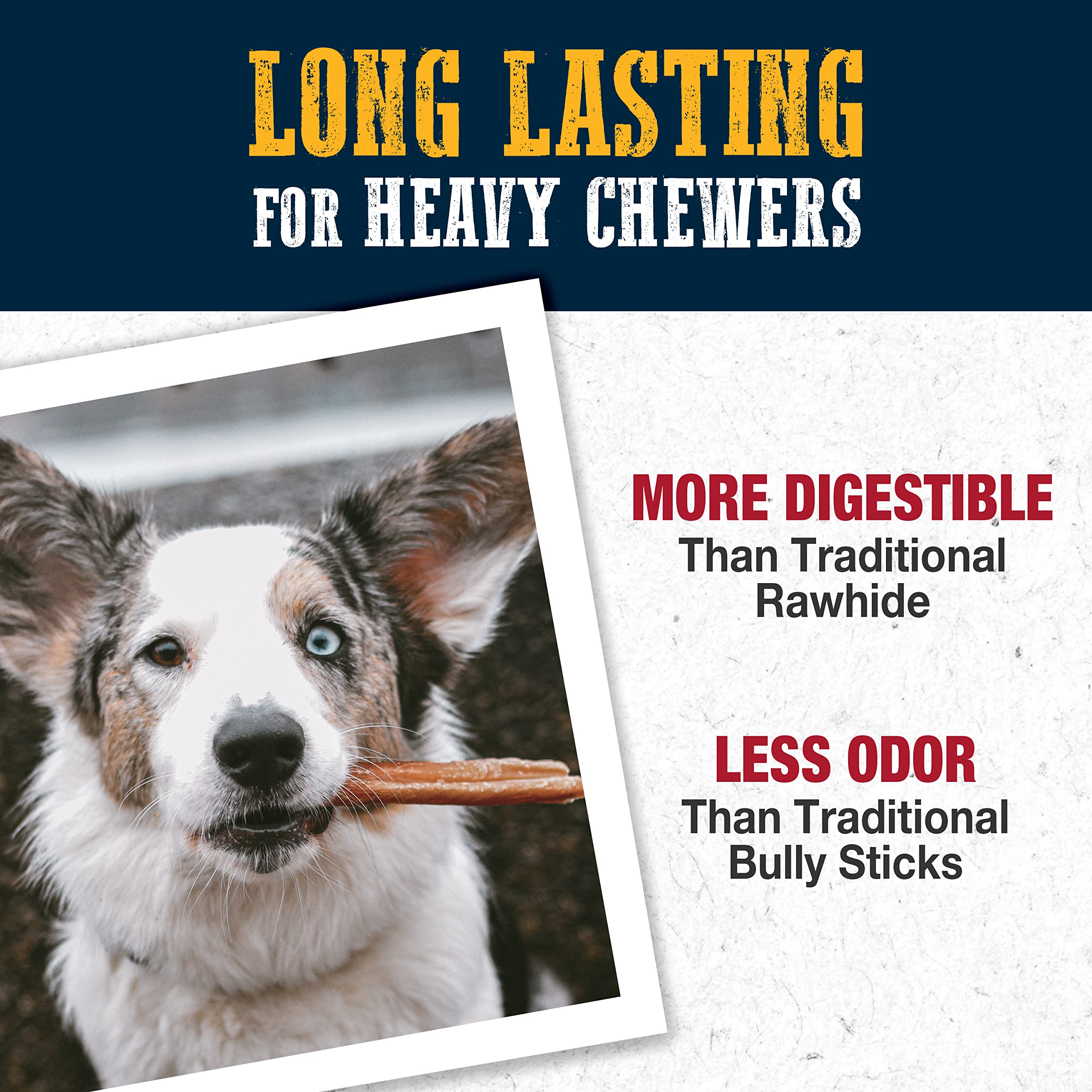 Cadet Bully Hide Sticks for Small Dogs, All-Natural Beef Pizzle, Limited-Ingredient Long-Lasting Dog Chews for Aggressive Chewer