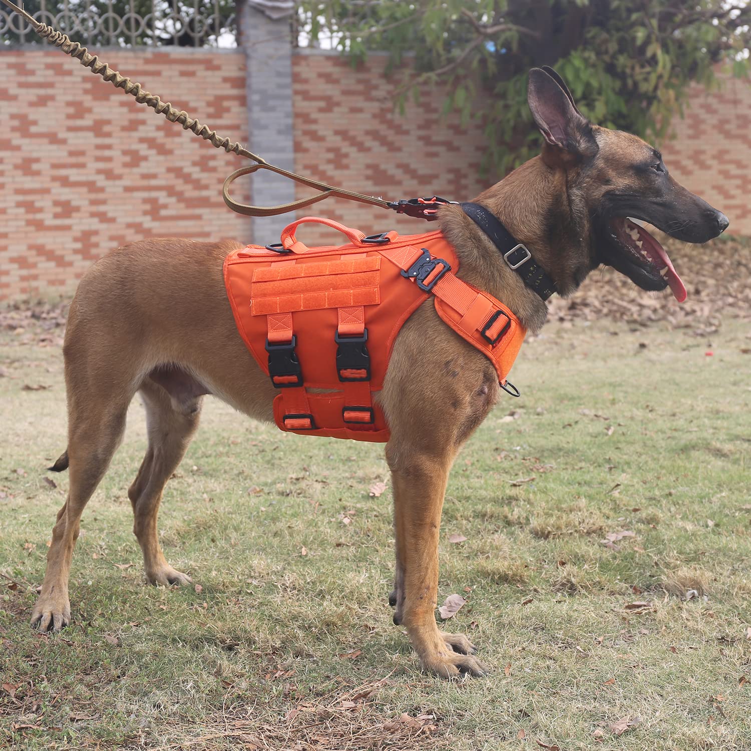 Icefang Tactical Dog Operation Harness With 6X Buckle,Dog Molle Vest With Handle,3/4 Body, Hook And Loop Panel For Id Patch,No Pulling Front Clip (Xl (Neck 19'-29'; Chest 31'-40'), Safety Orange)