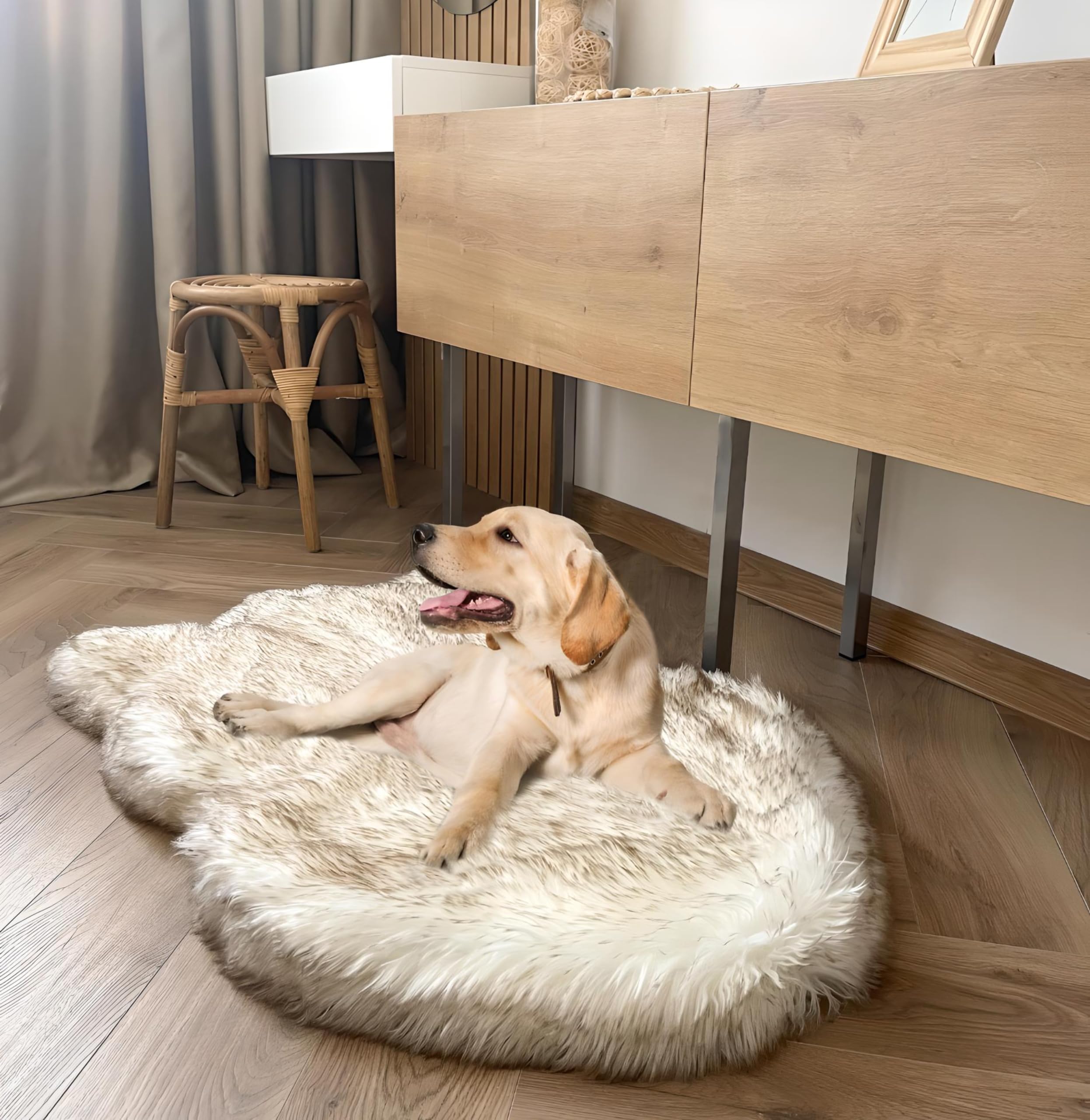Luxury Faux Fur Orthopedic Dog Bed, Memory Foam Dog Bed For Small, Medium, Large And Xl Pets, Fluffy Pup Rug With Waterproof And Washable Soft Cover, Bone White (Medium)
