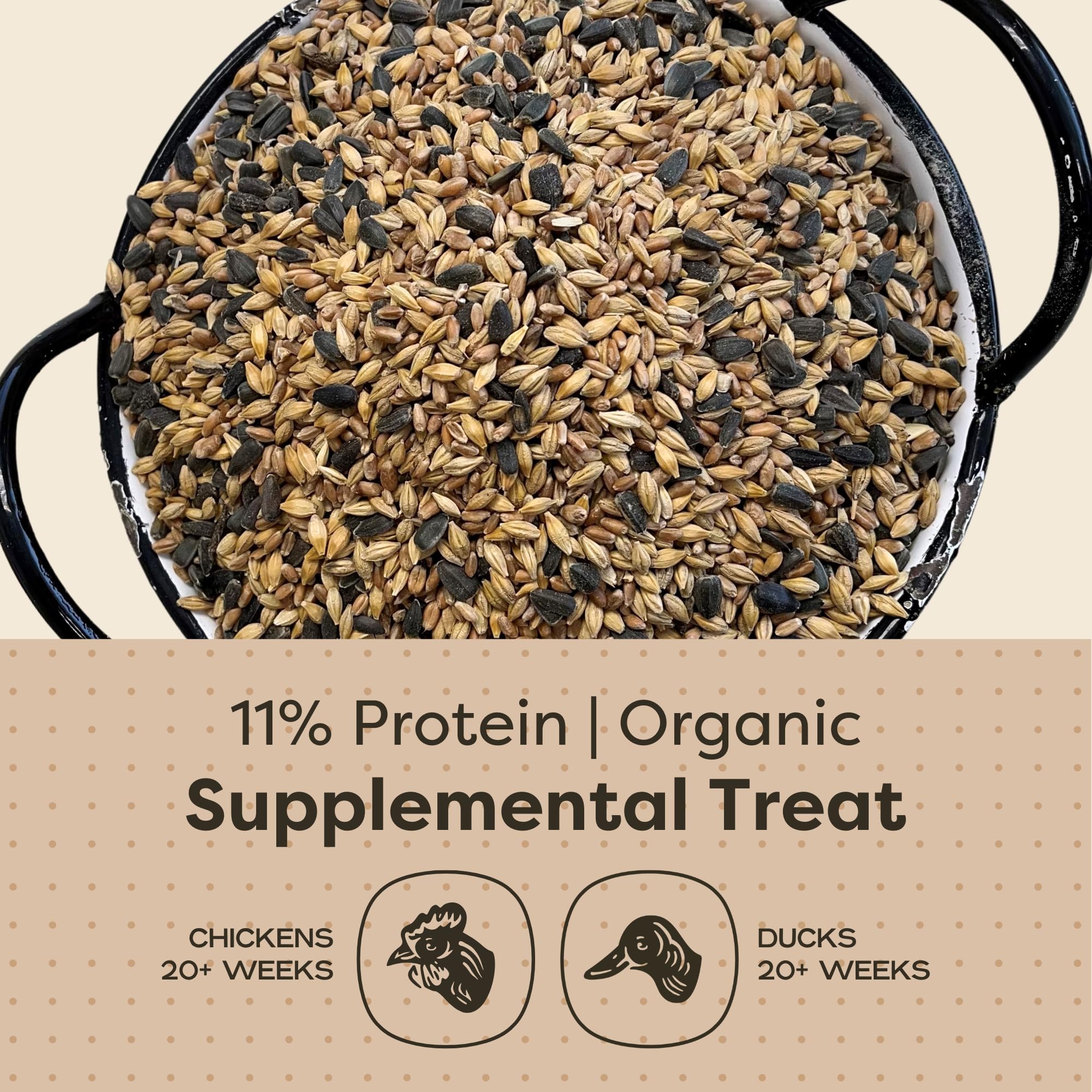 Scratch and Peck Scratch + Seeds Chicken and Duck Treat - 25 lbs Bag - 11% Protein, Certified Organic and Non-GMO Project Verifi