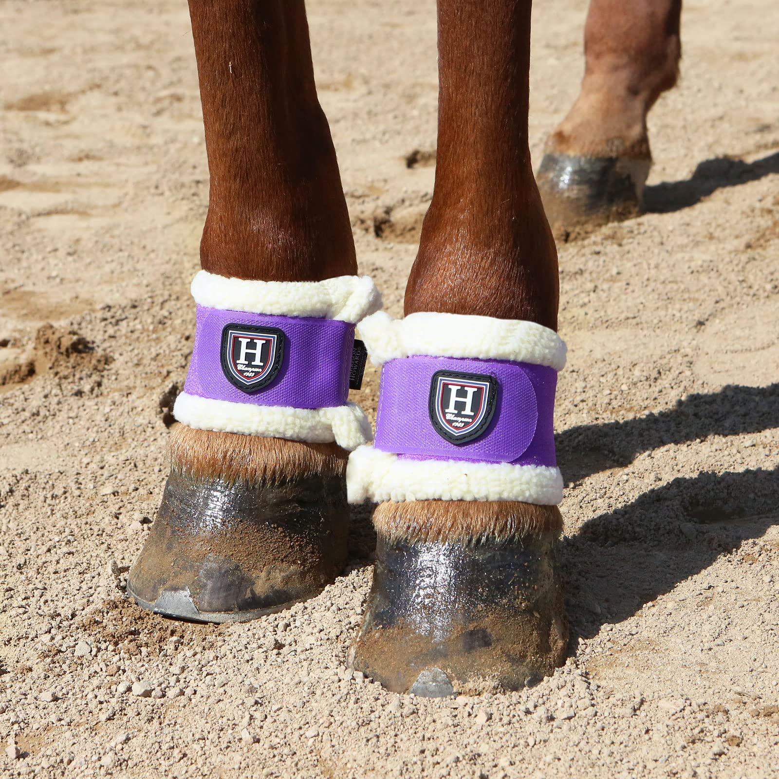 Harrison Howard Essential Premium Horse Pastern Wraps with Berber Fleece Lining Sold in Pairs Purple