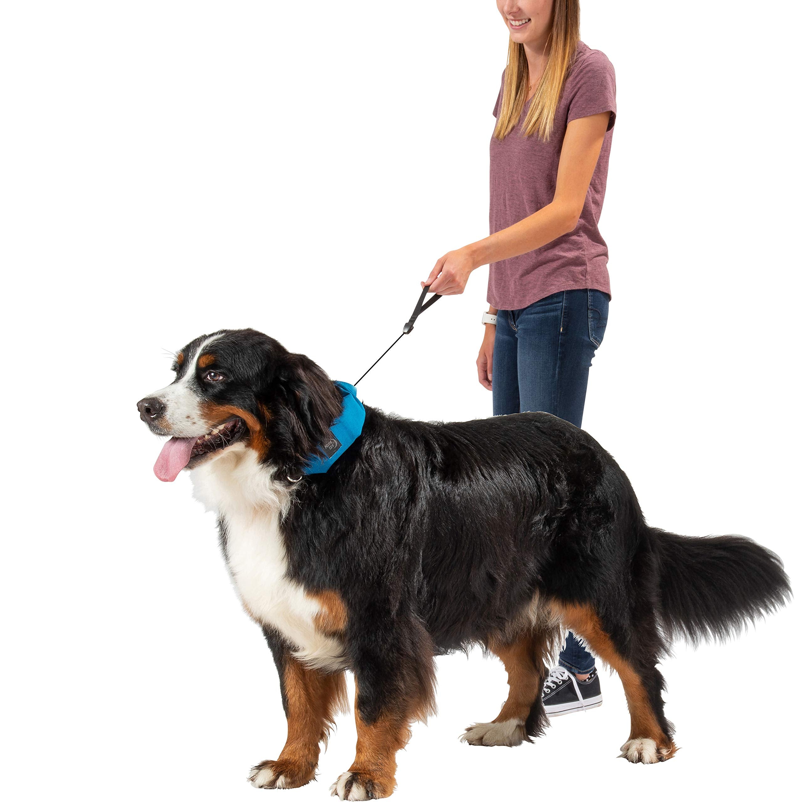 Nite Ize Raddog All-In-One Collar + Leash Combo, Dog Collar With Built-In Retractable Leash, Blue, X-Large 20'-25'