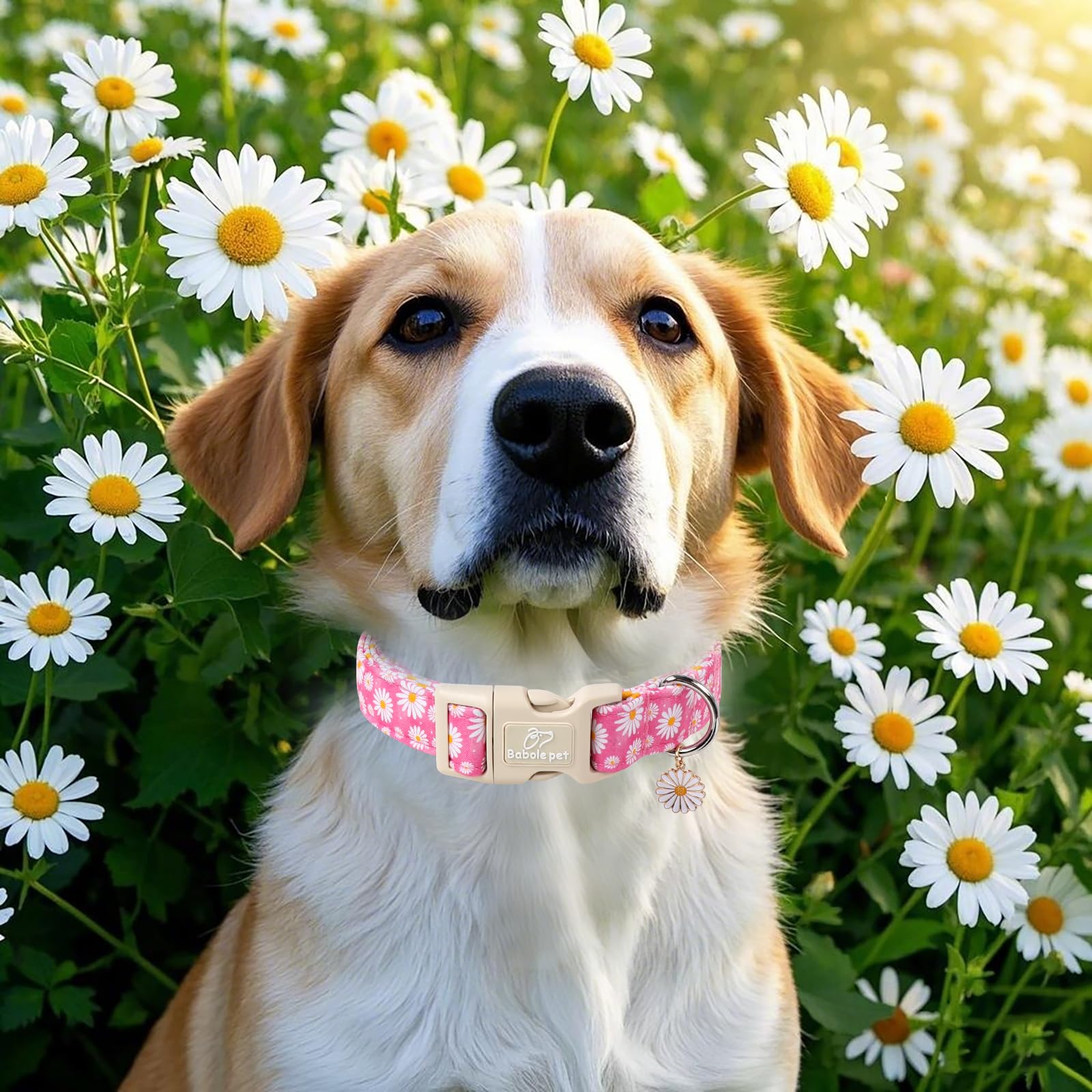 Babole Pet Summer Daisy Dog Collar, Cute Floral Adjustable Pink Dog Collars For Small Dogs, Lightweight Quick-Release Buckle Col
