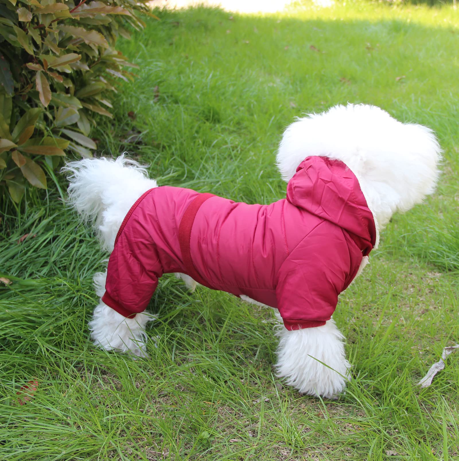 Joydaog Fleece Lined Dog Coat With Detachable Hood And Detachable Hind Legs,Warm Puppy Jacket In Winter(Red Xs)