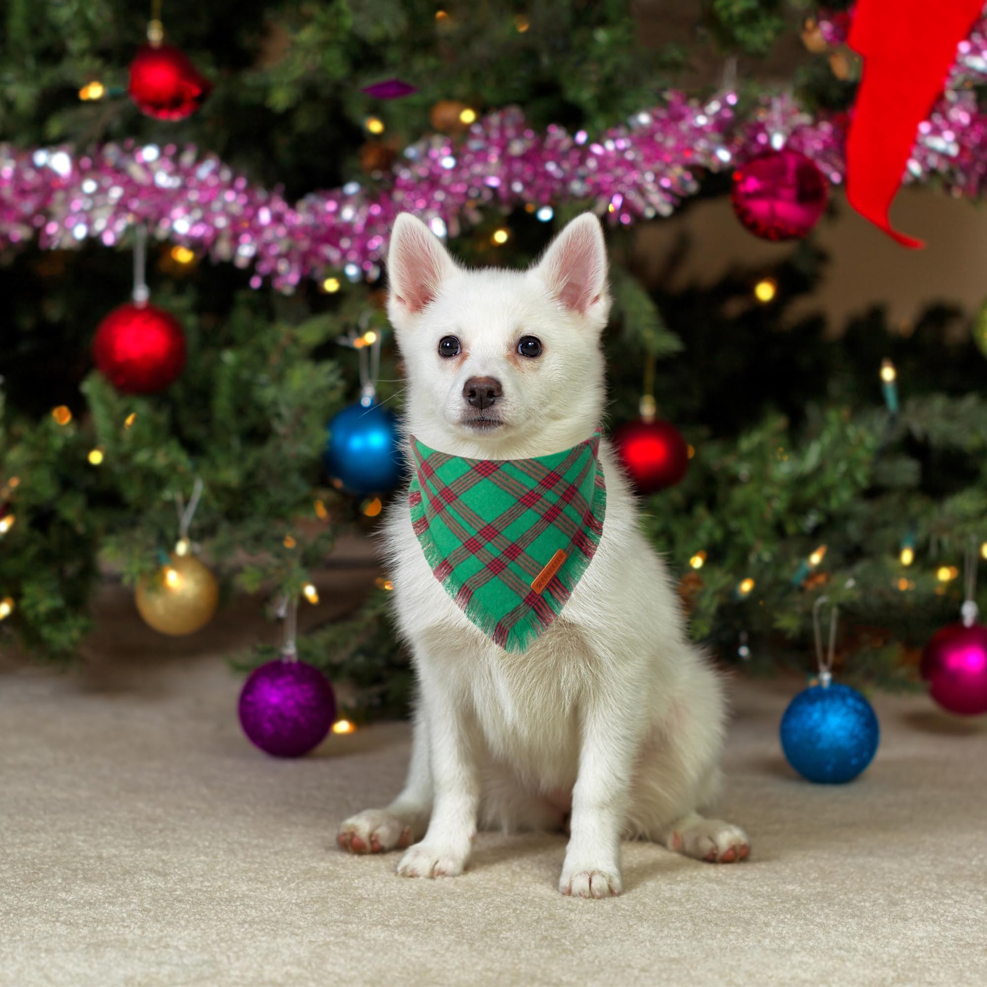 Adoggygo Christmas Dog Bandanas With Tassels Edges, Red Green Plaid Dog Christmas Scarf Bib, Multiple Sizes Offered, Christmas Bandanas For Small Dogs Puppies (Christmas-2, Small)